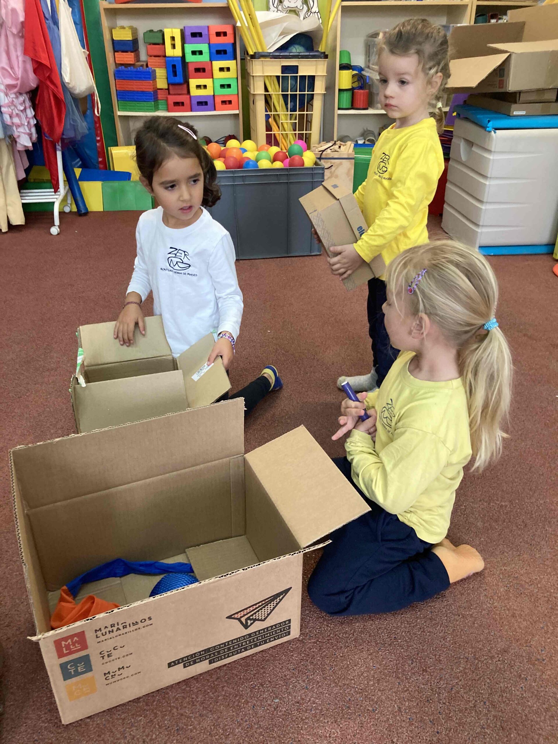 psicomotricitat (6) (Copy)