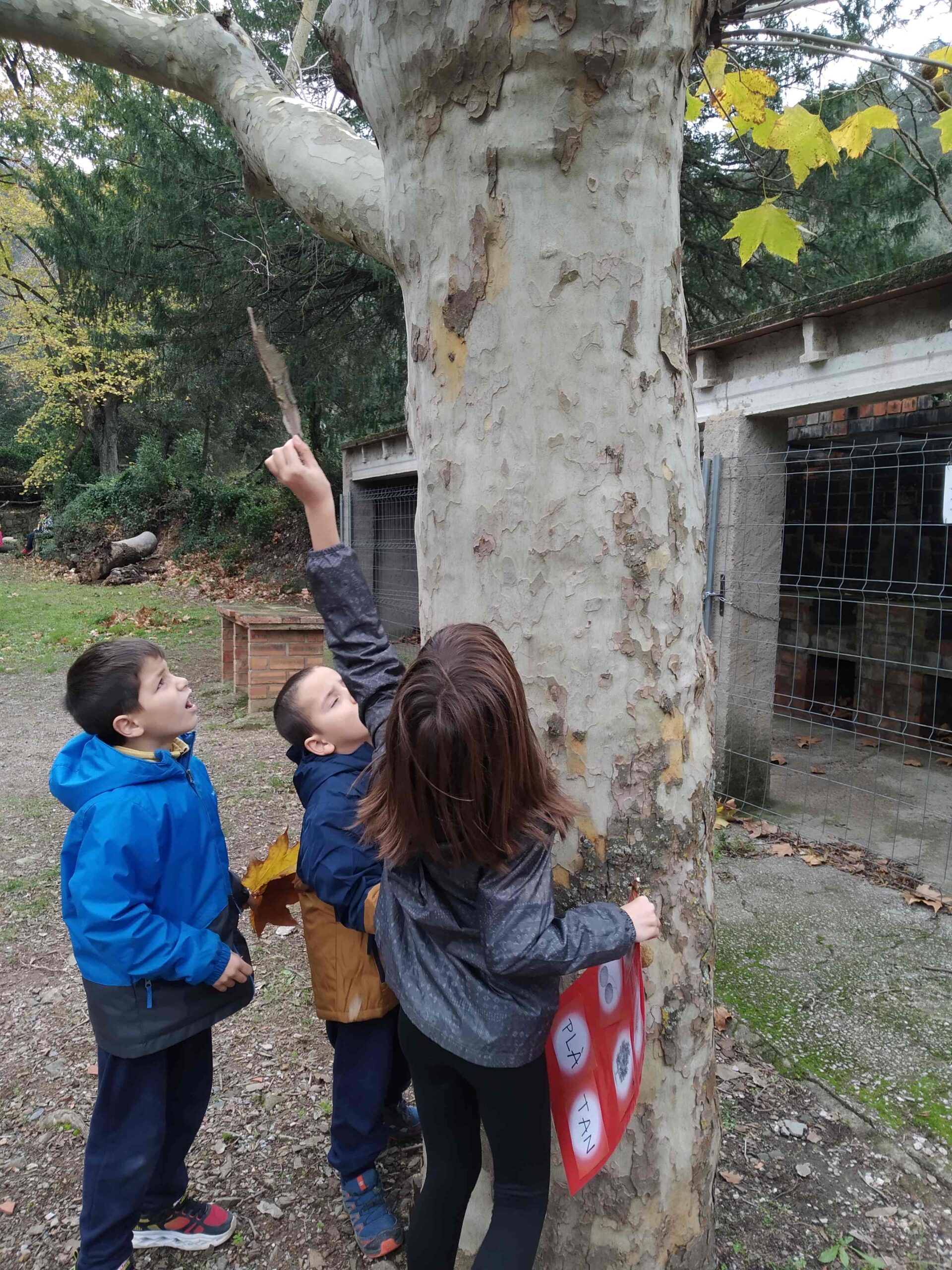 PNIN TRINITAT (10) (Copy)