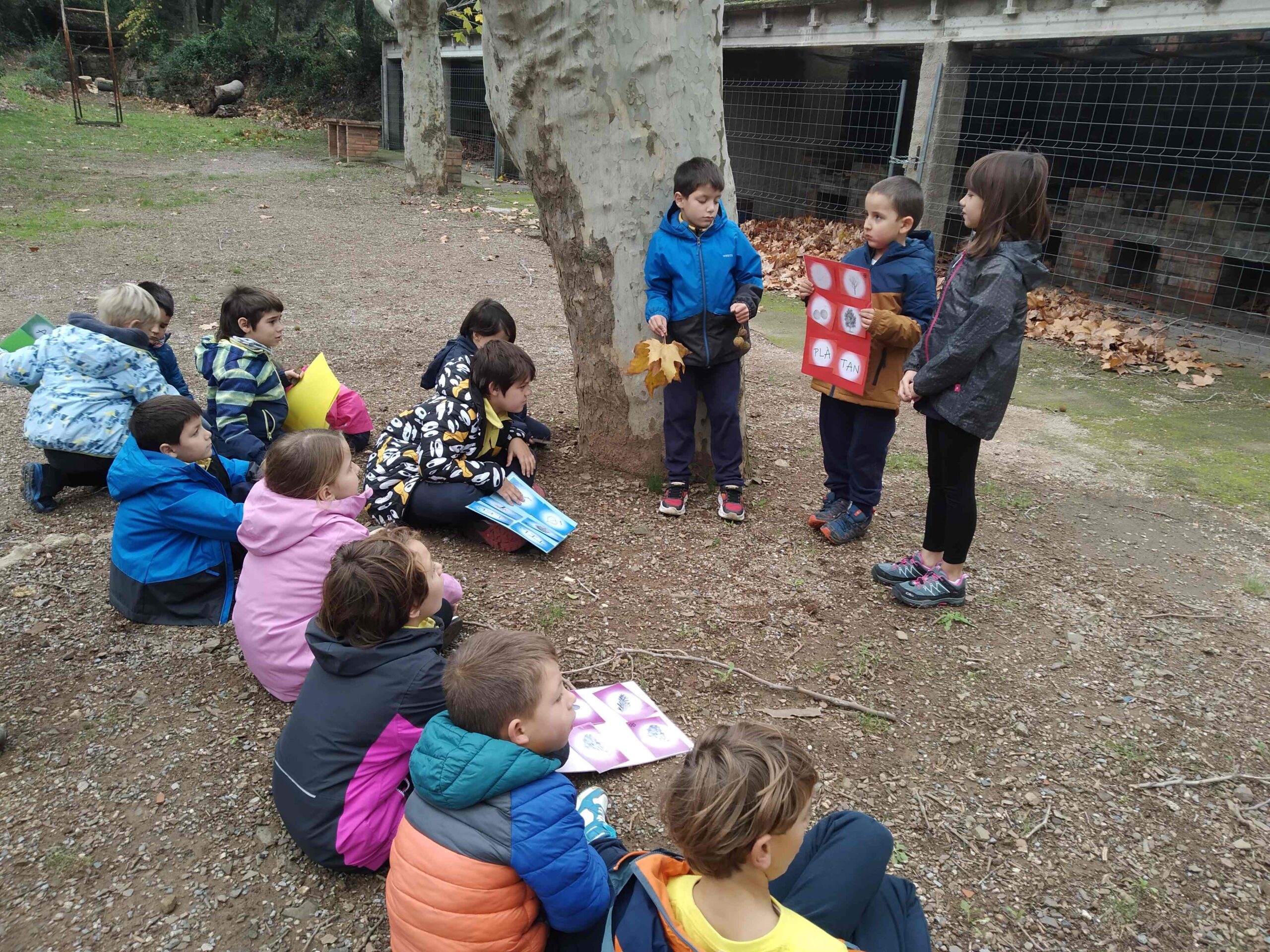 PNIN TRINITAT (13) (Copy)