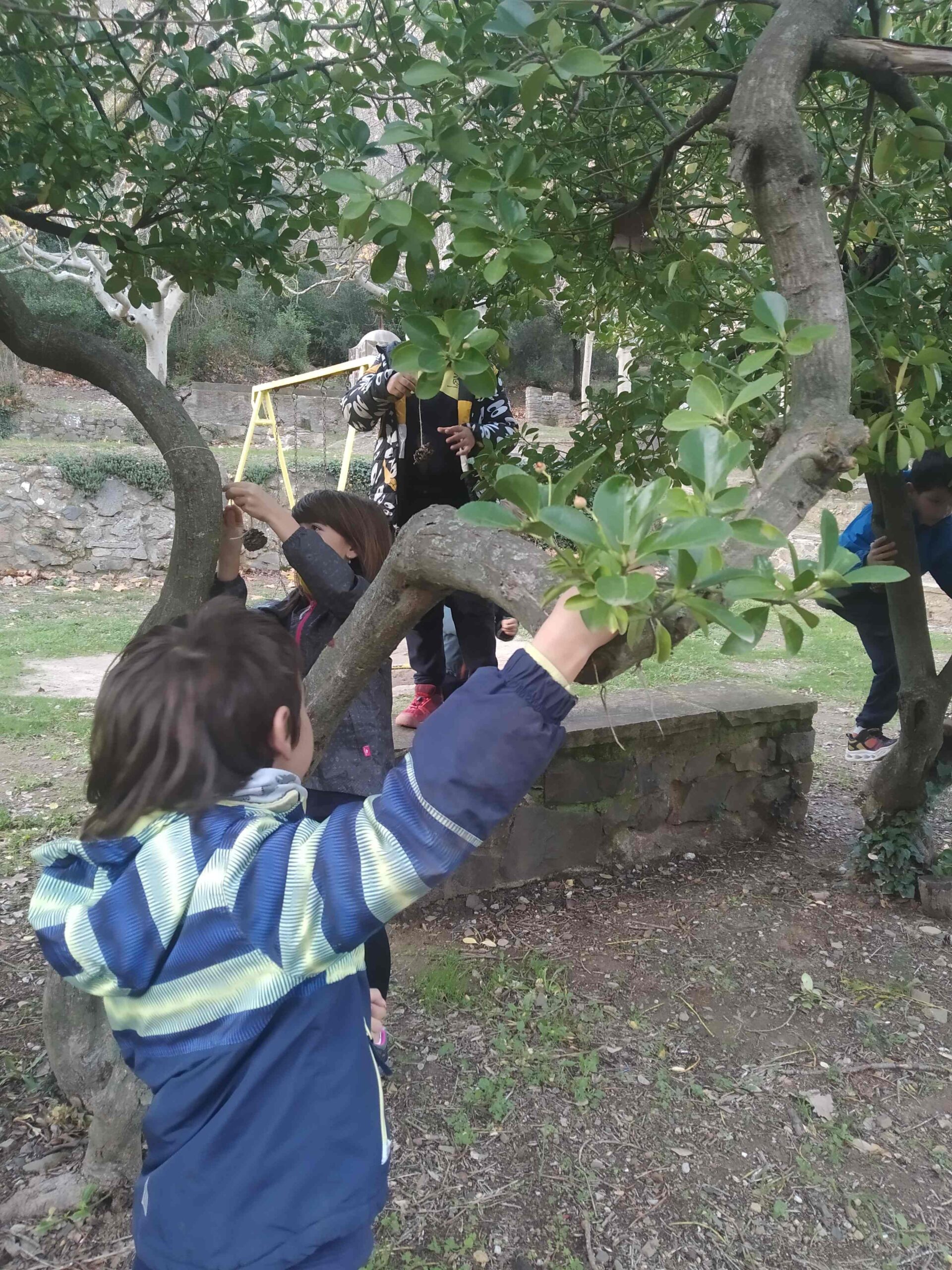 PNIN TRINITAT (19) (Copy)