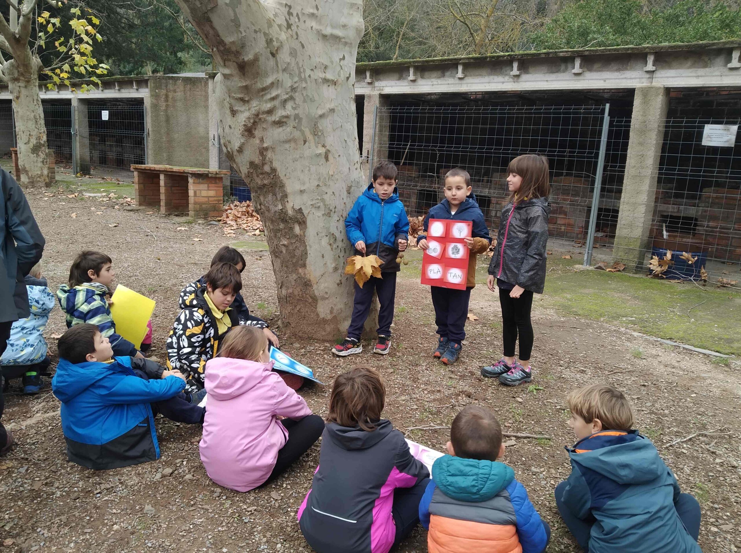 PNIN TRINITAT (20) (Copy)