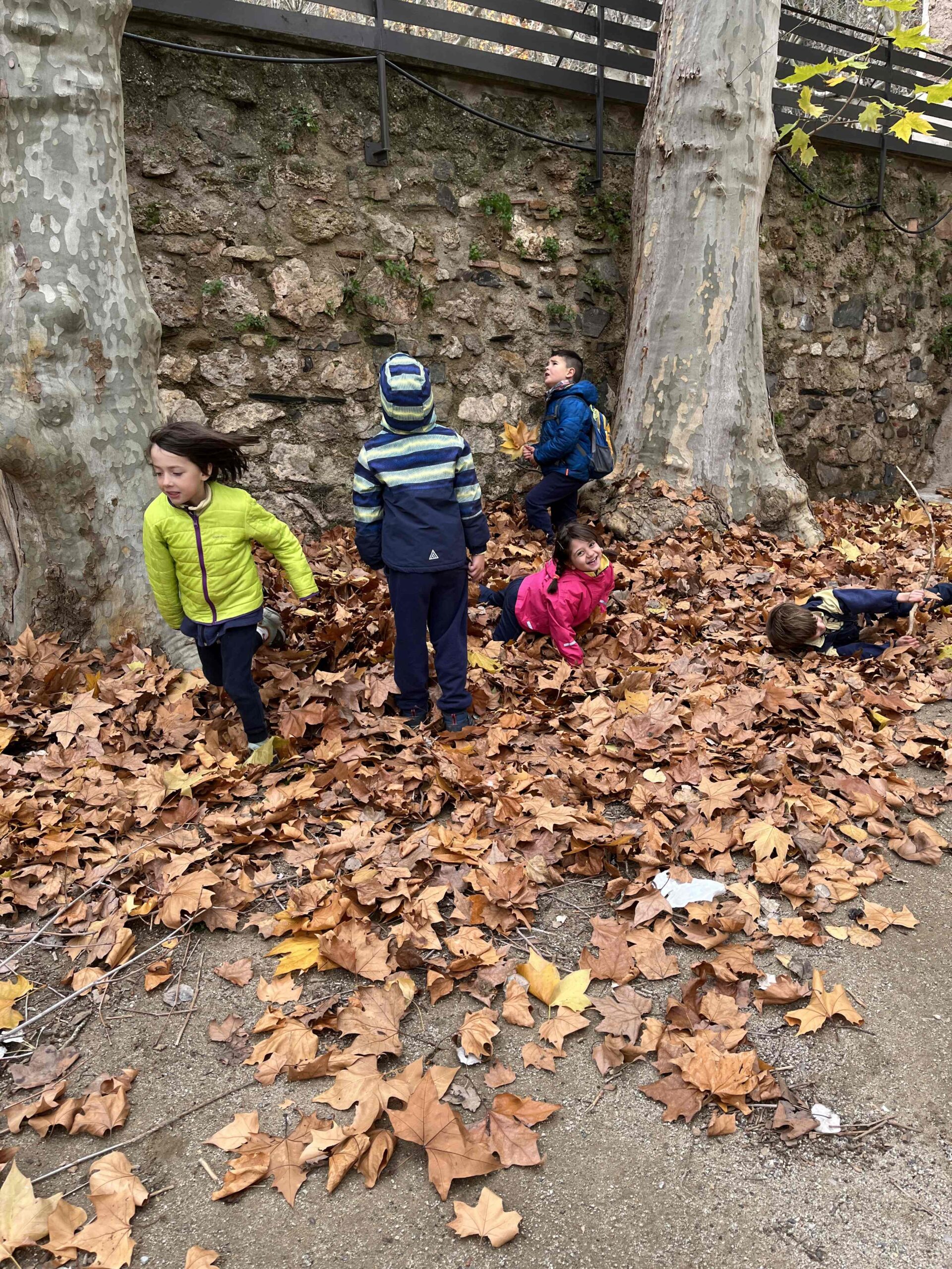 PNIN TRINITAT (21) (Copy)