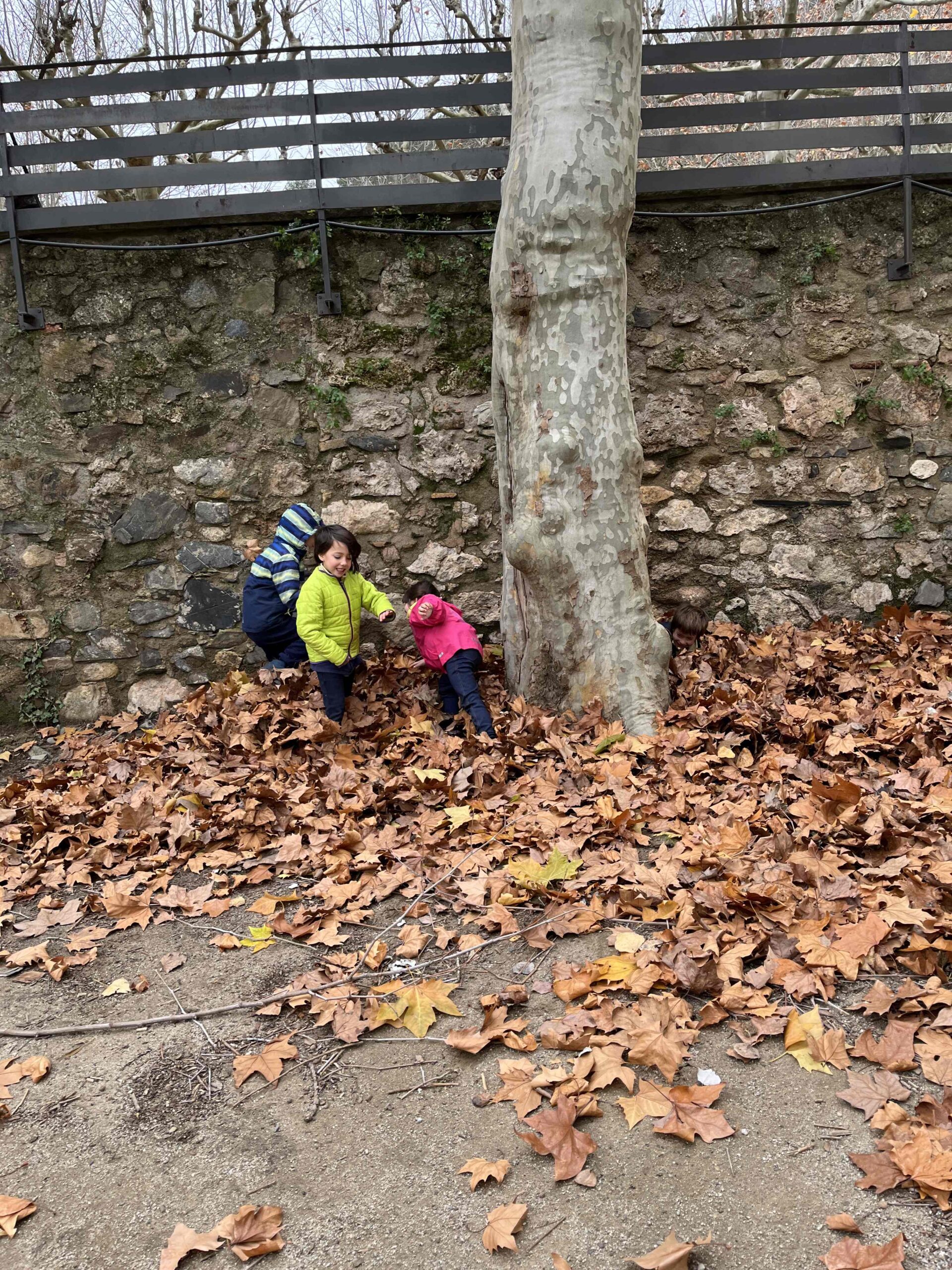 PNIN TRINITAT (22) (Copy)