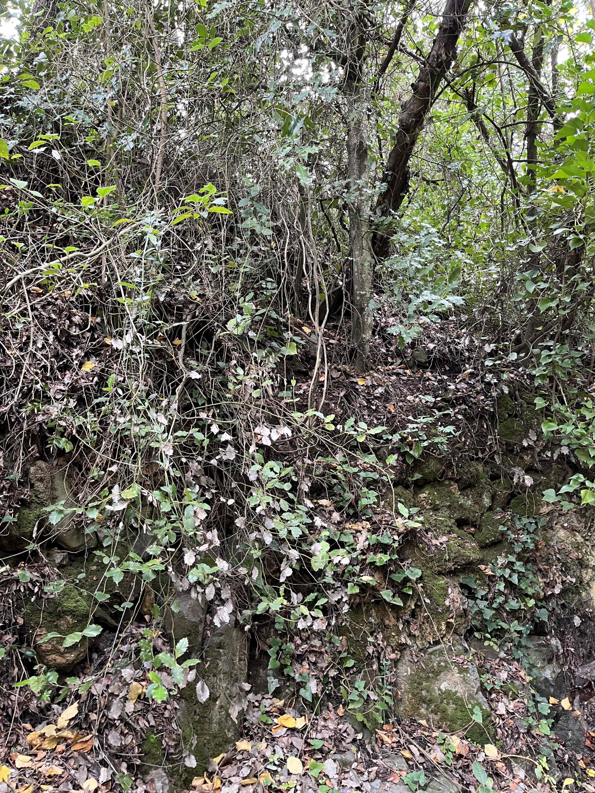 PNIN TRINITAT (23) (Copy)