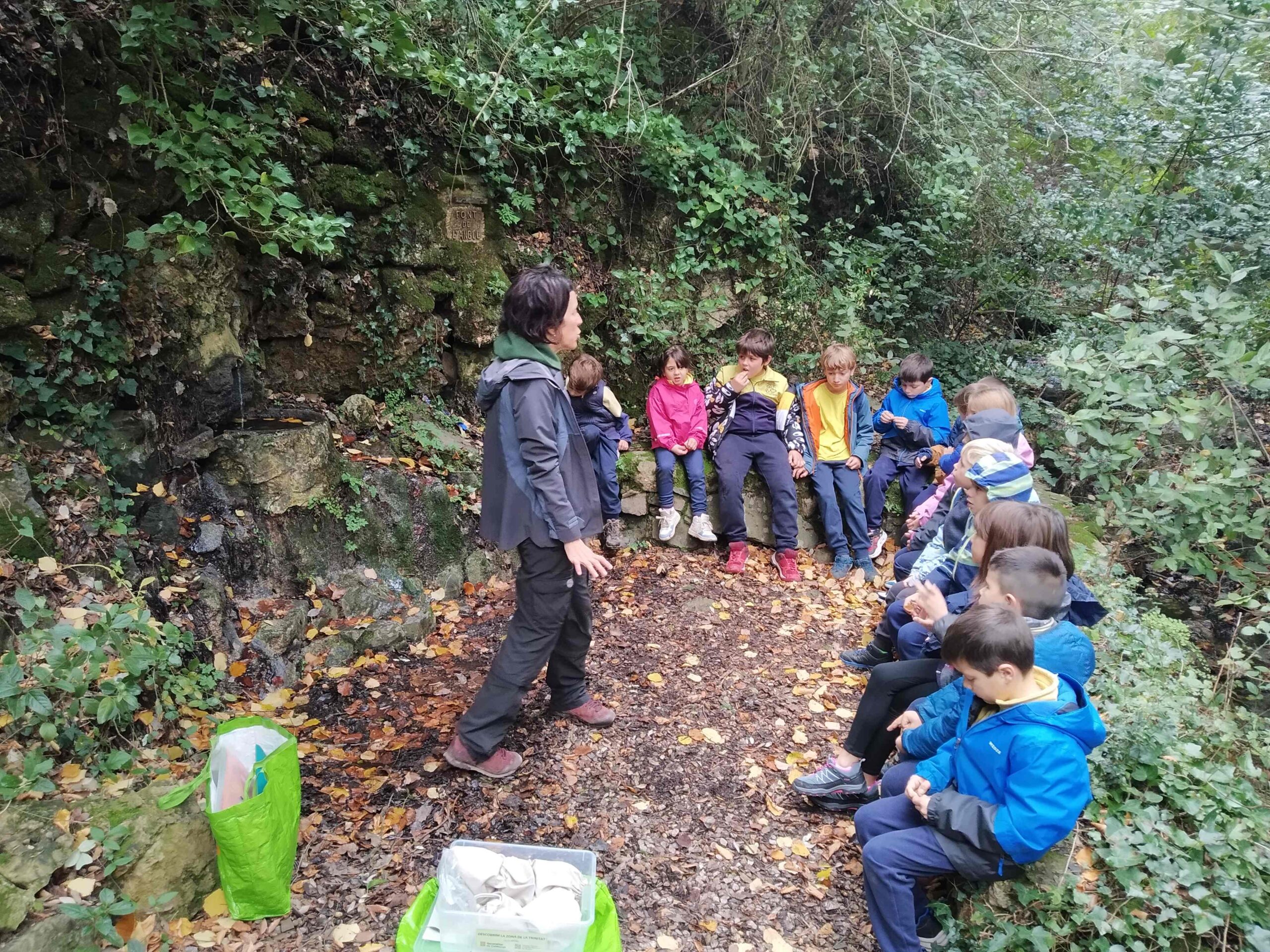 PNIN TRINITAT (3) (Copy)