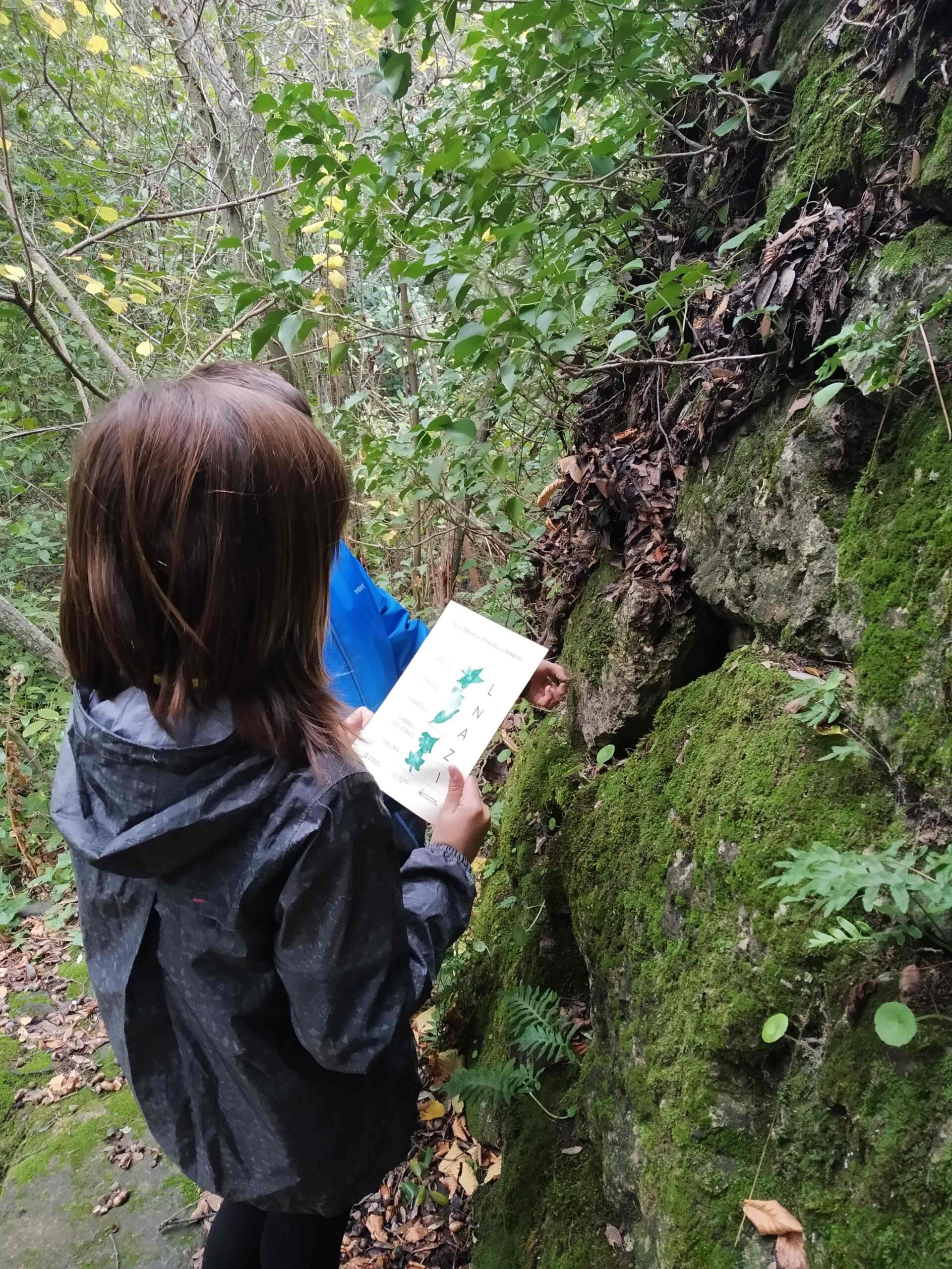 PNIN TRINITAT (8) (Copy)