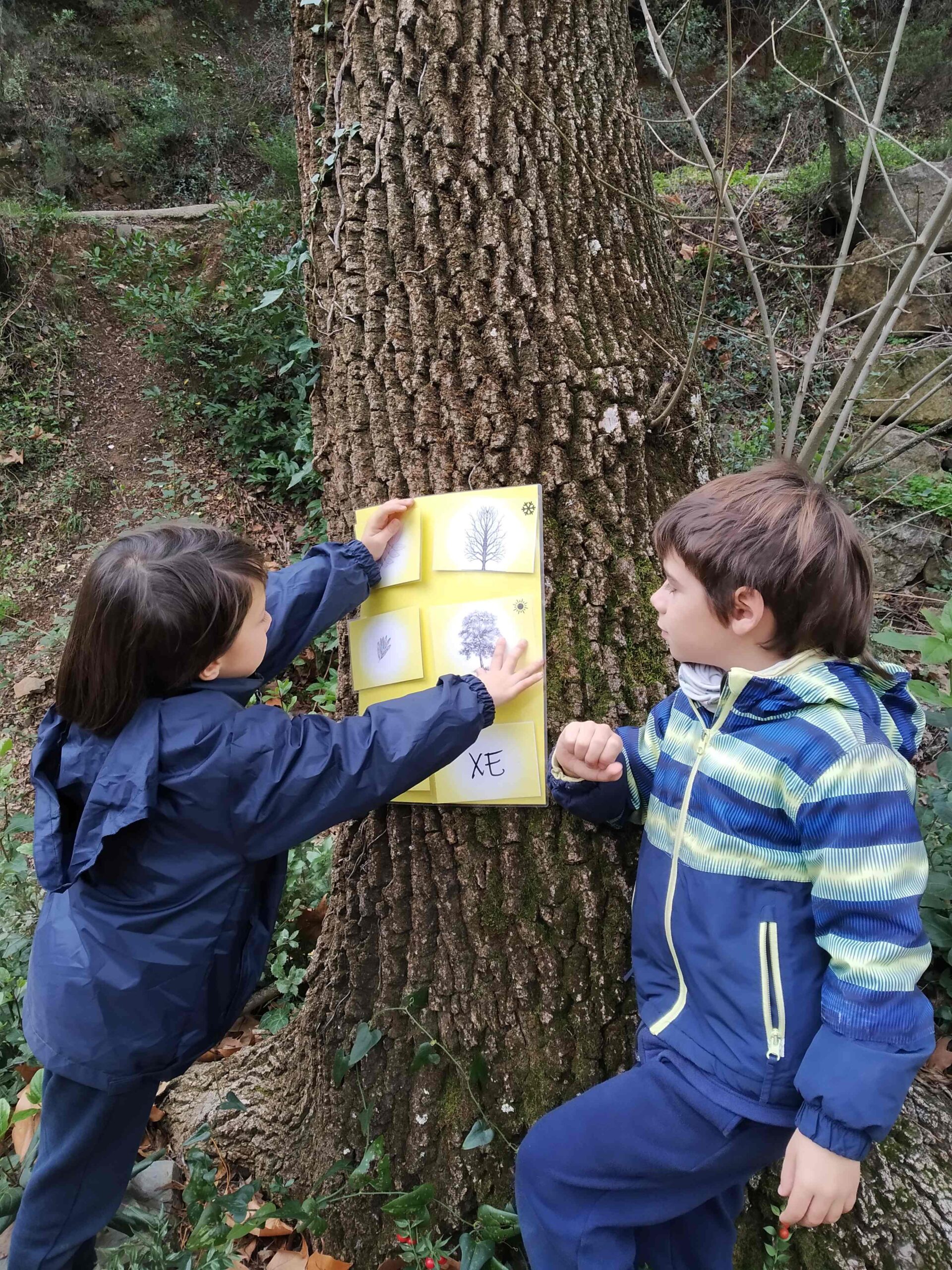 PNIN TRINITAT (9) (Copy)