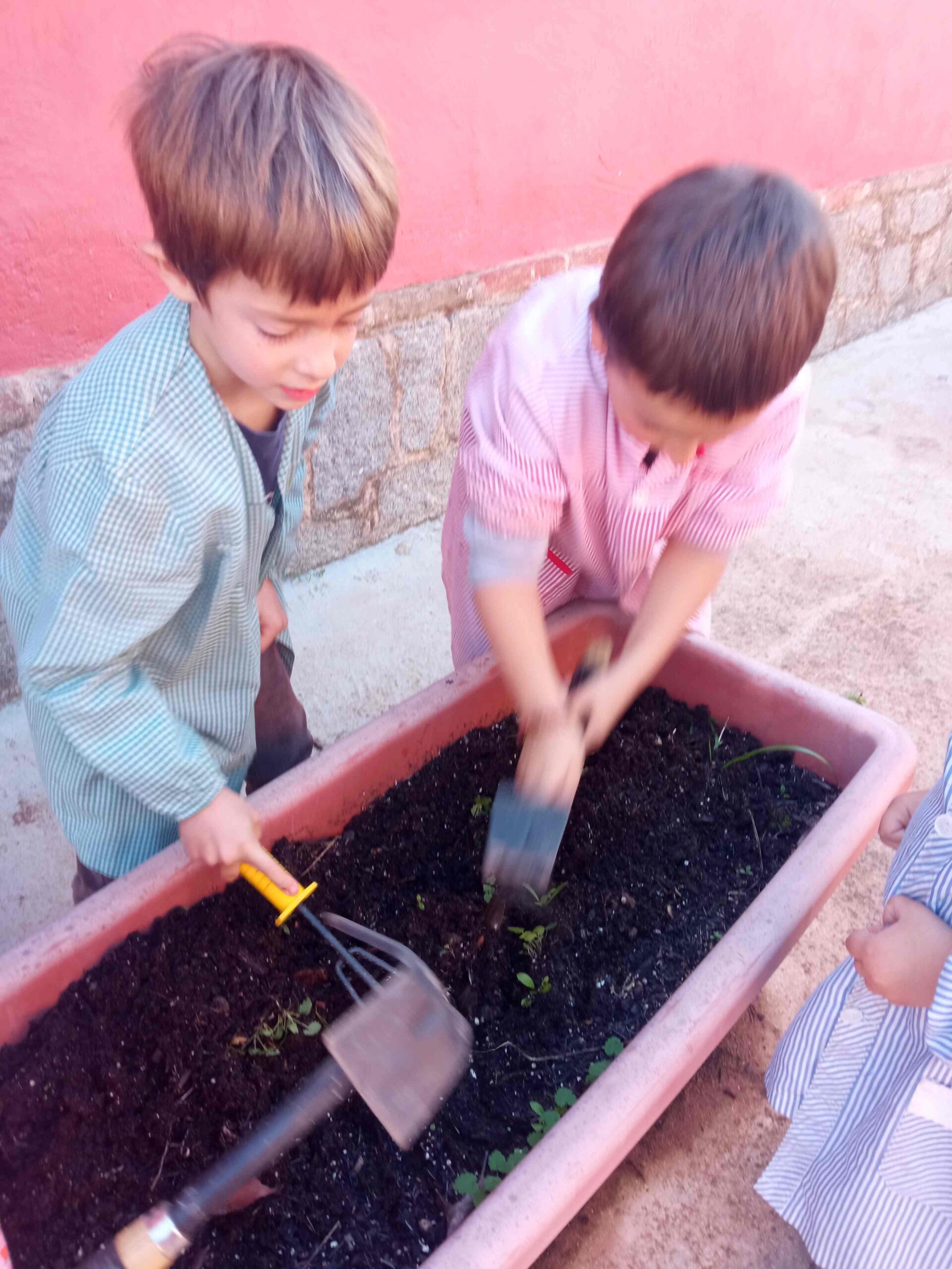 SEMBREM ESCOLES (14) (Copy)