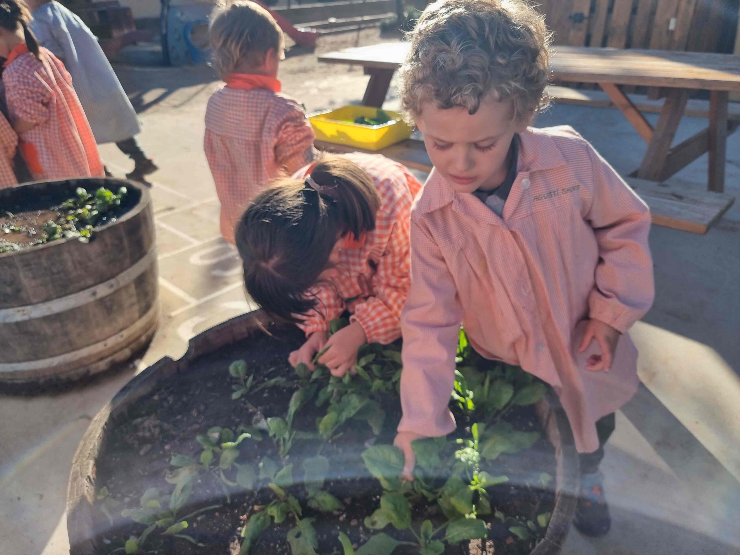 SEMBREM ESCOLES (19) (Copy)