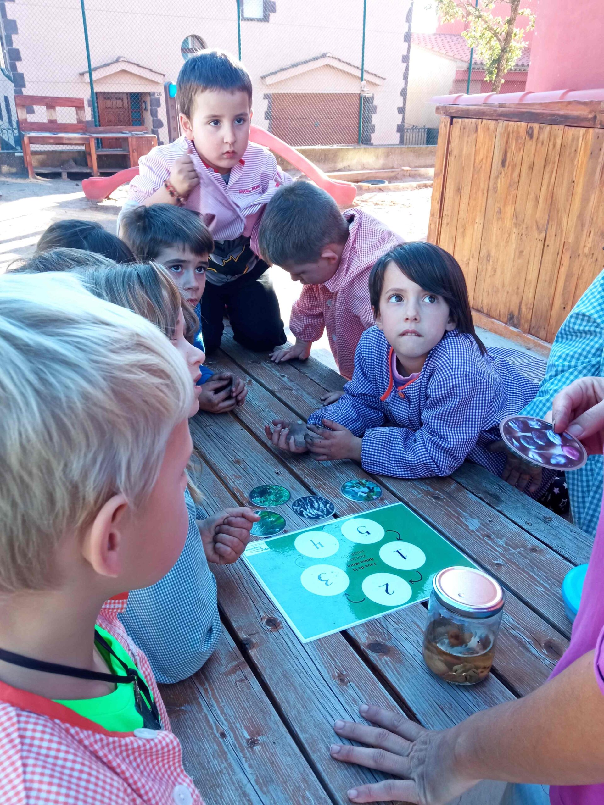 SEMBREM ESCOLES (2) (Copy)