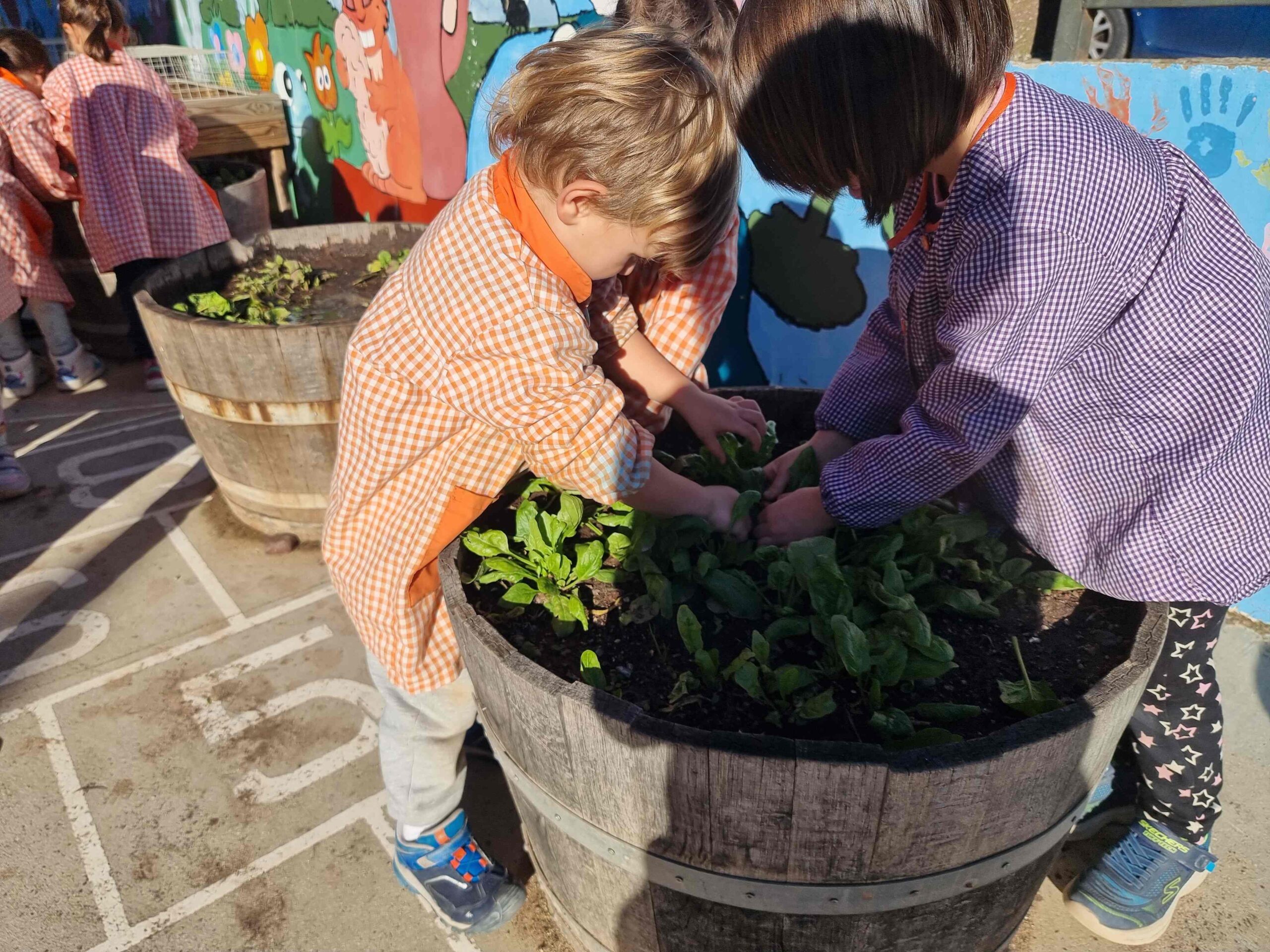 SEMBREM ESCOLES (21) (Copy)