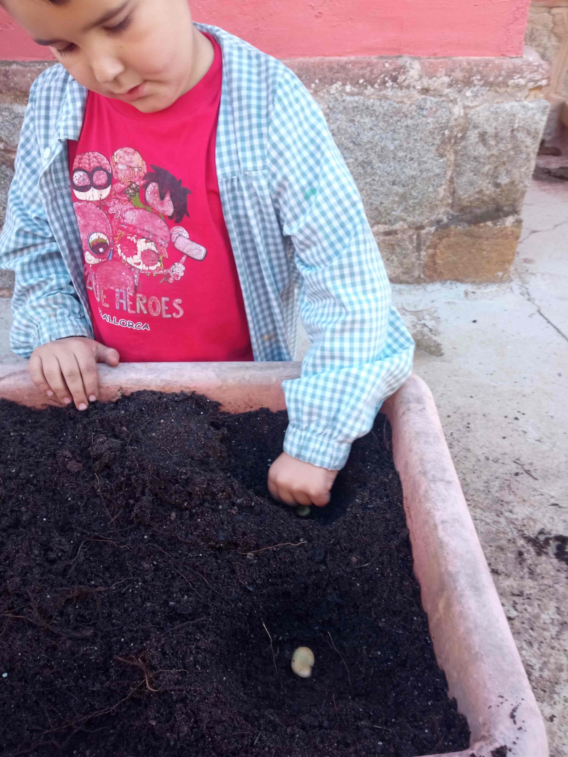 SEMBREM ESCOLES (4) (Copy)