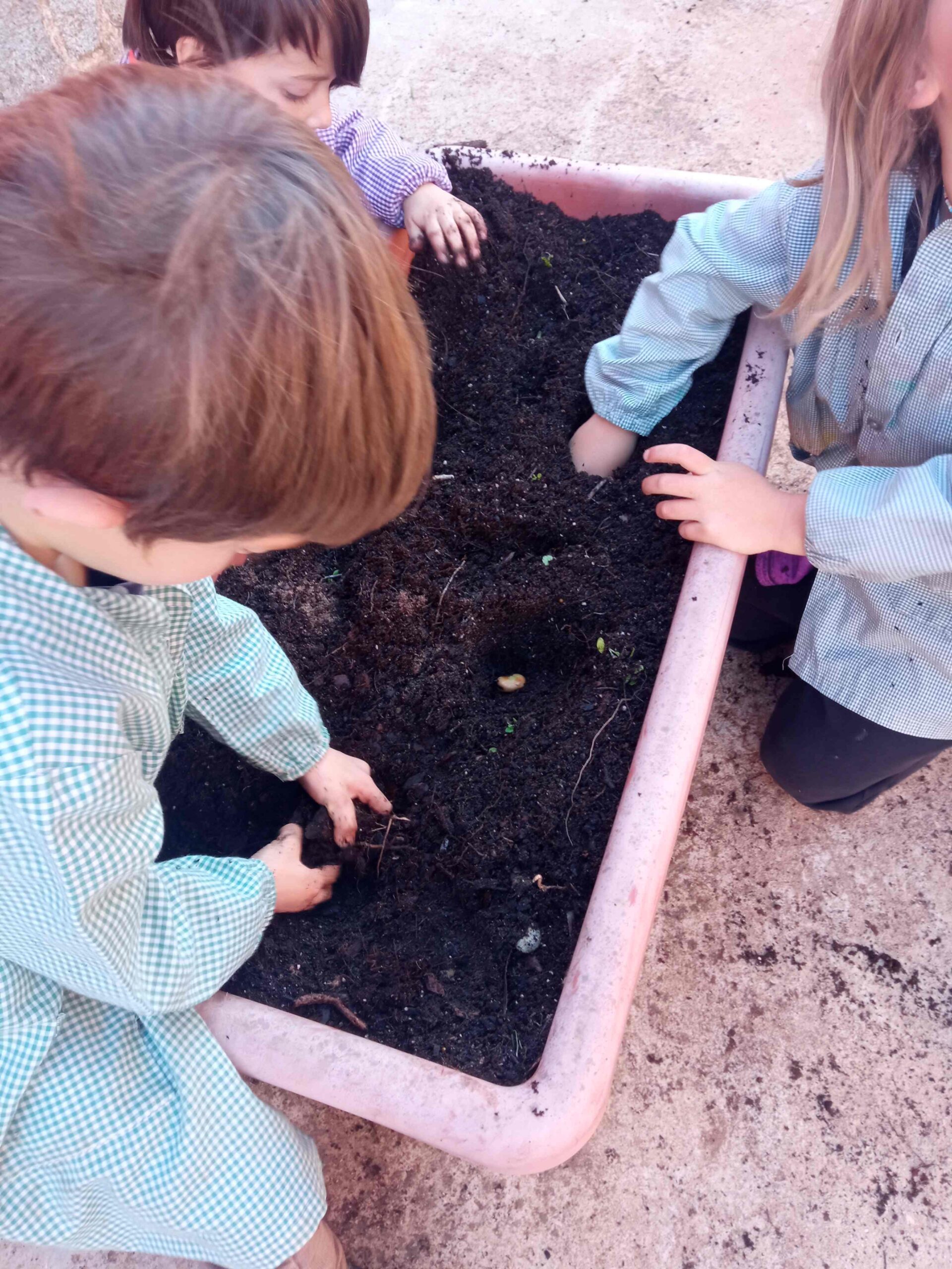 SEMBREM ESCOLES (5) (Copy)