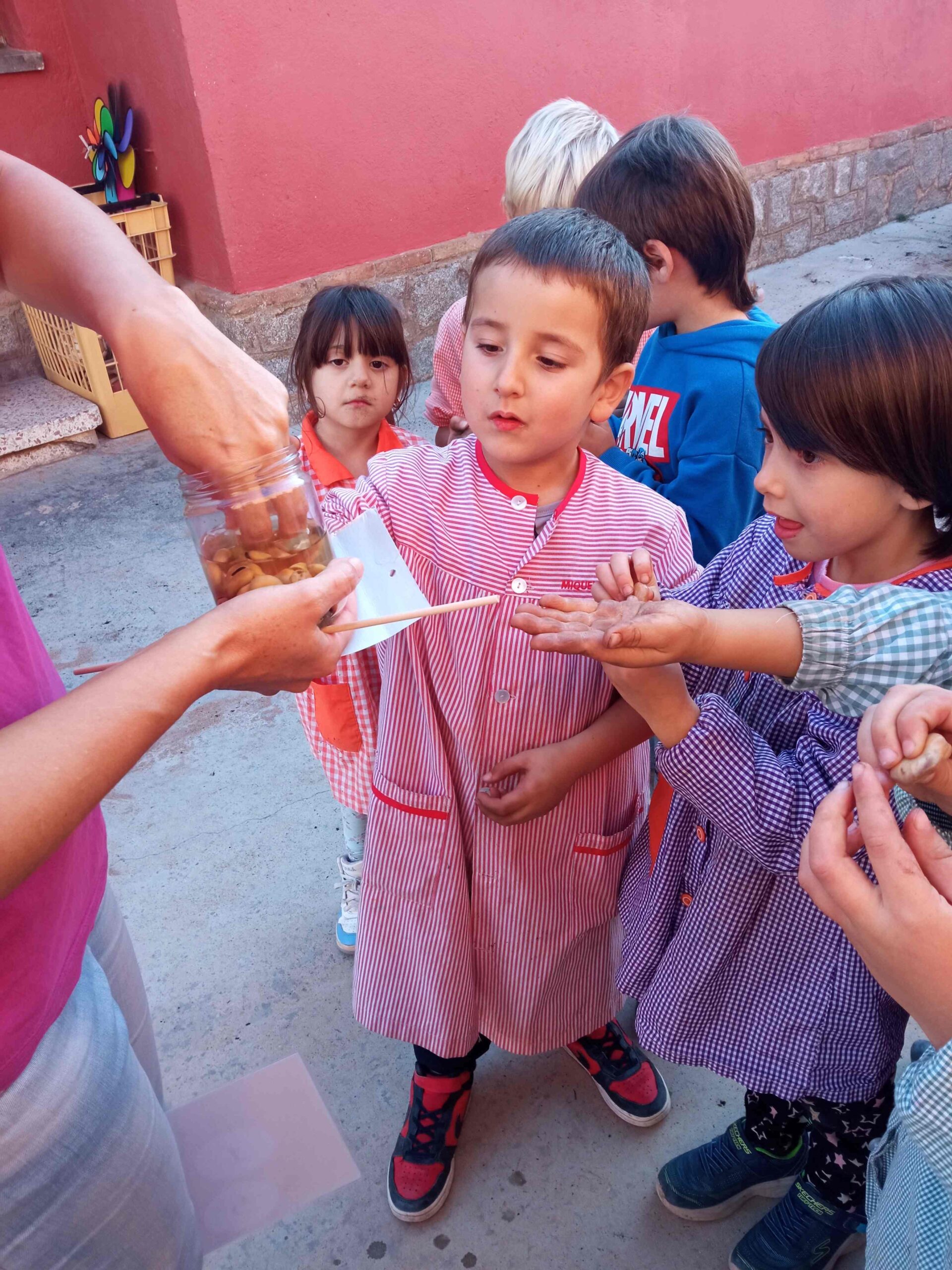 SEMBREM ESCOLES (8) (Copy)