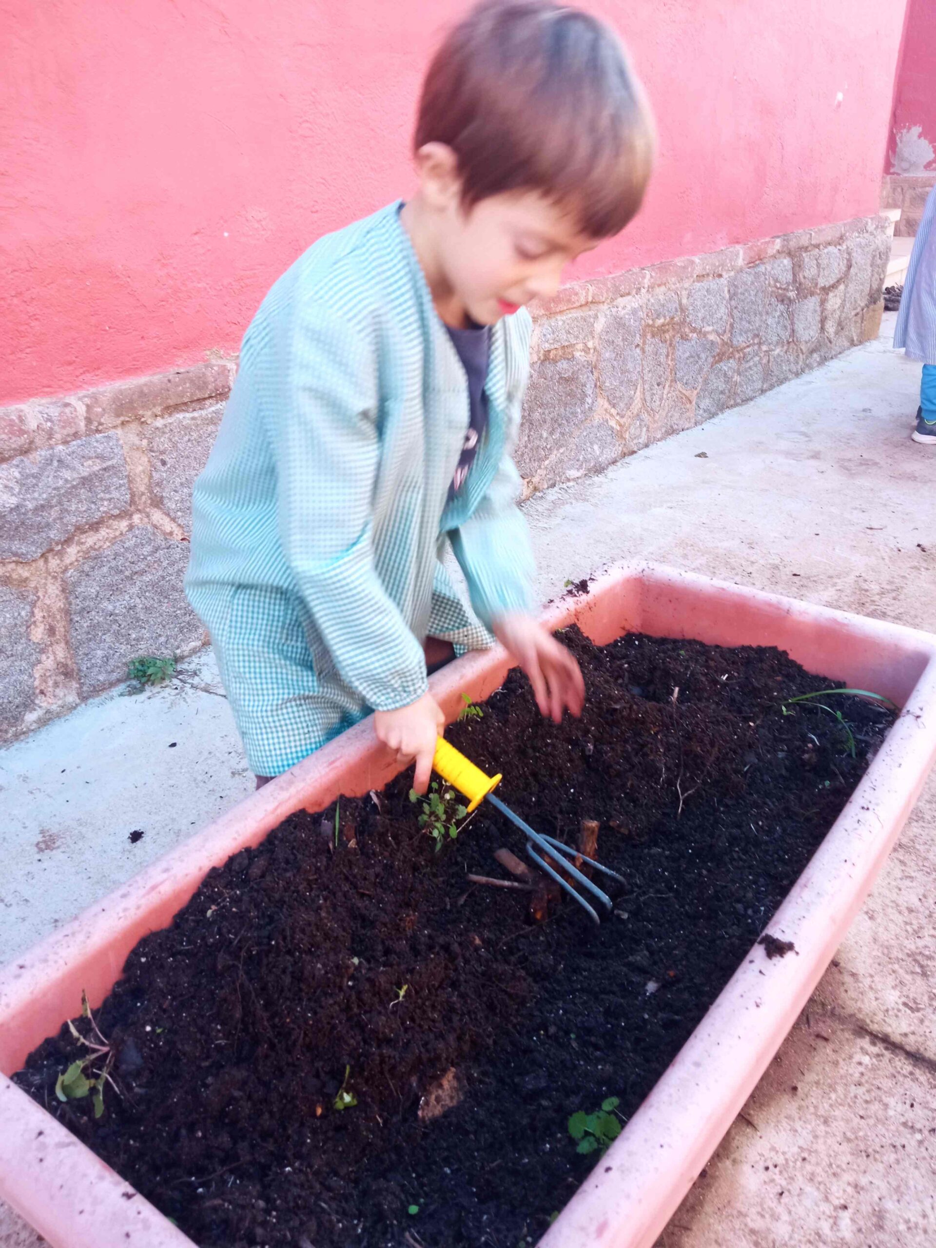 SEMBREM ESCOLES (9) (Copy)