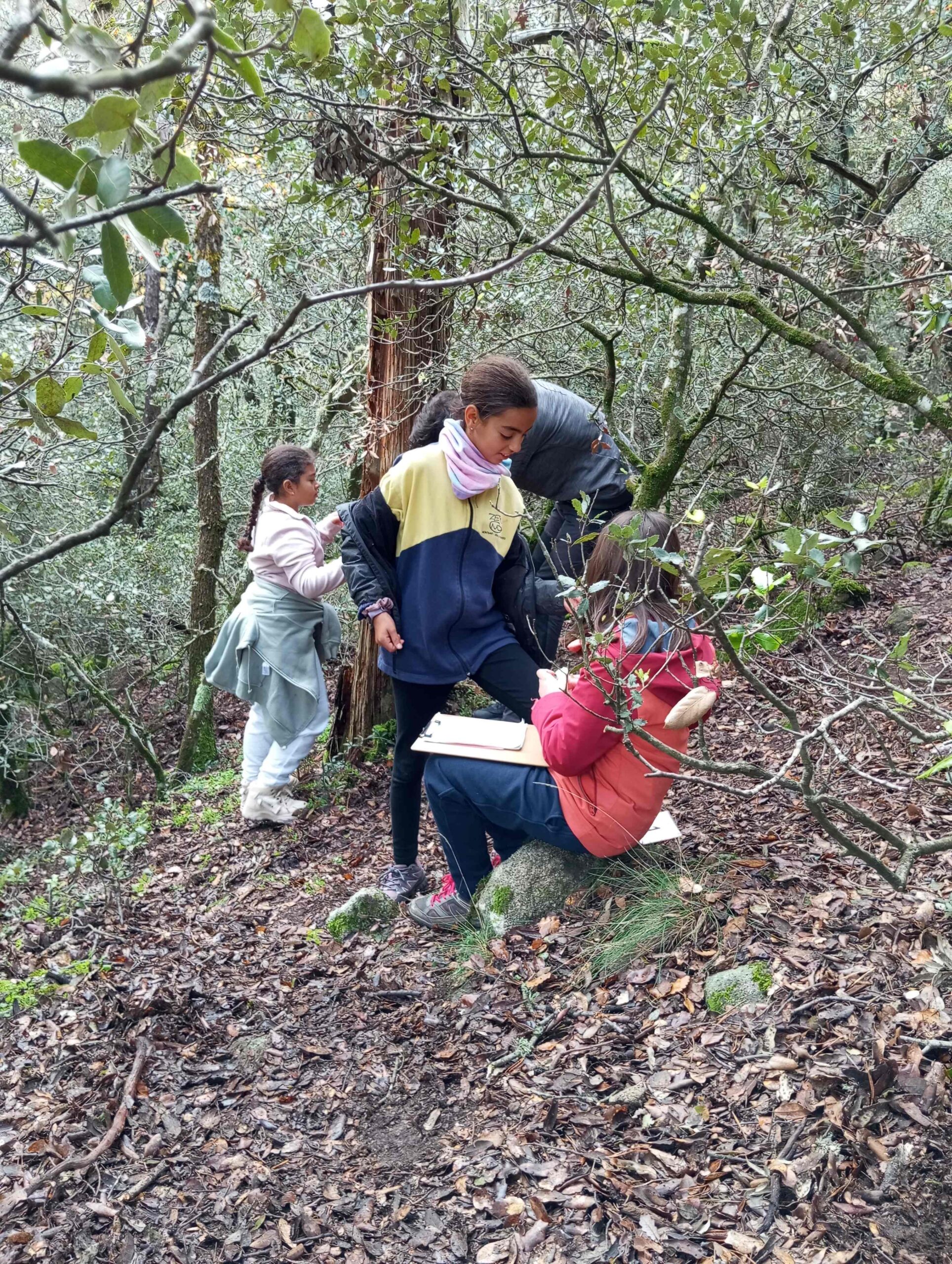 pnin bosc madur titllar (1) (Copy)