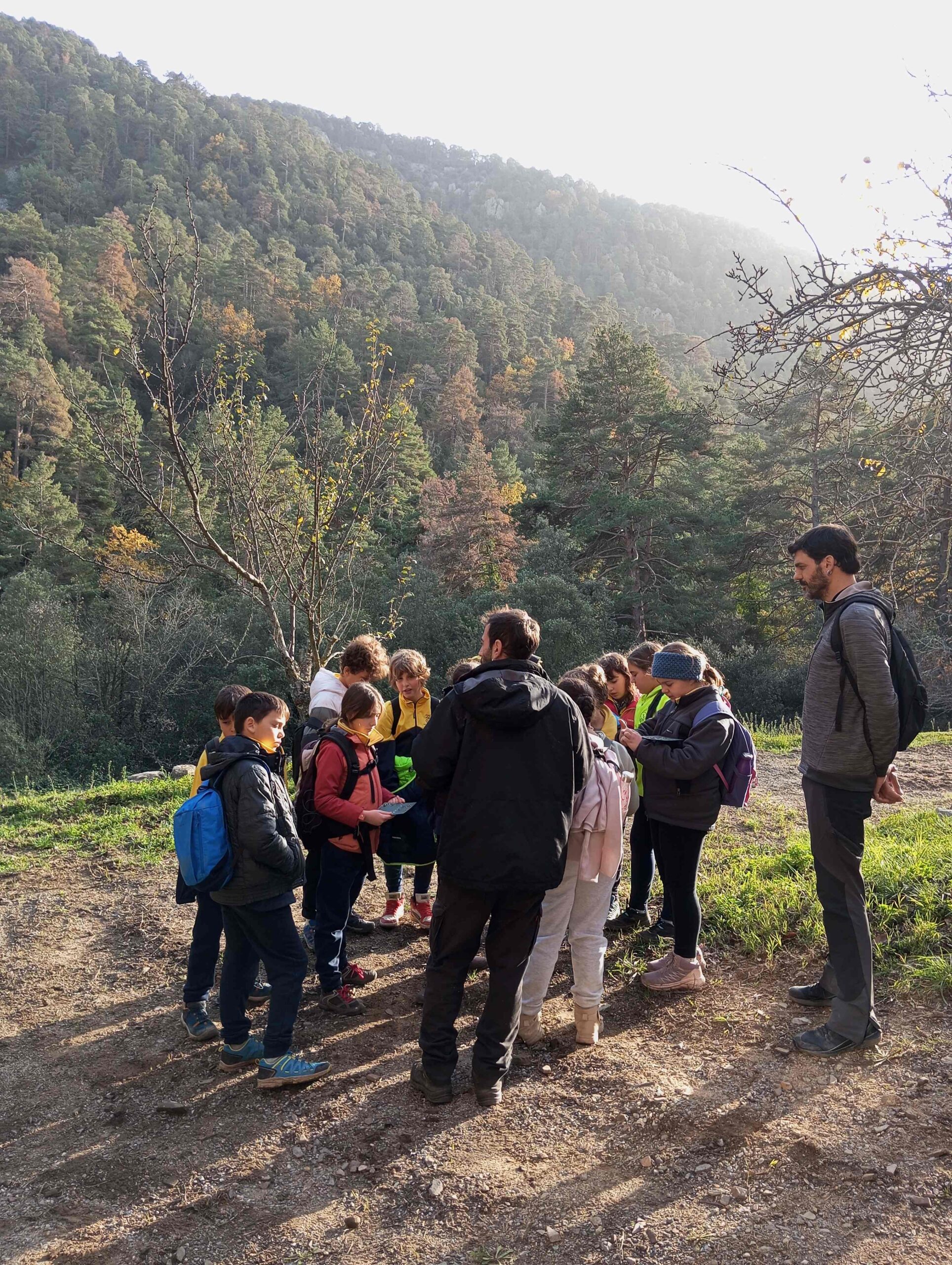 pnin bosc madur titllar (12) (Copy)