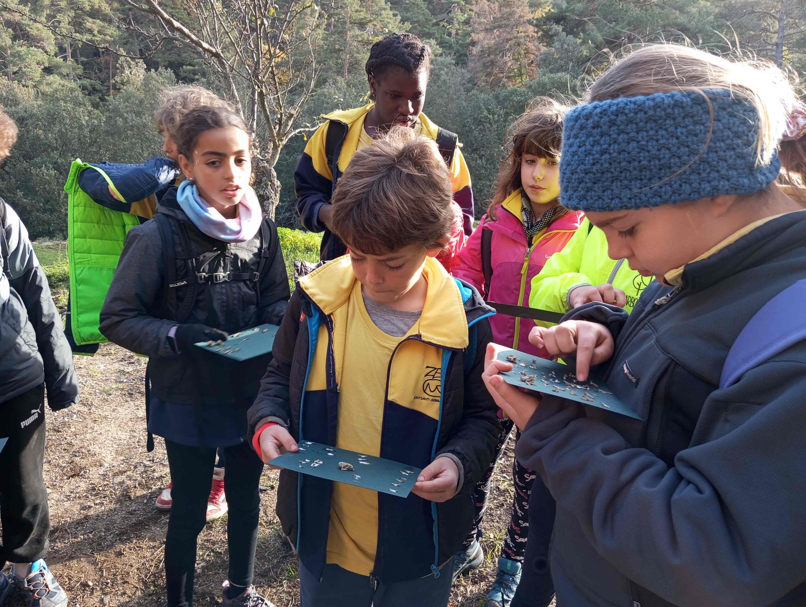 pnin bosc madur titllar (13) (Copy)