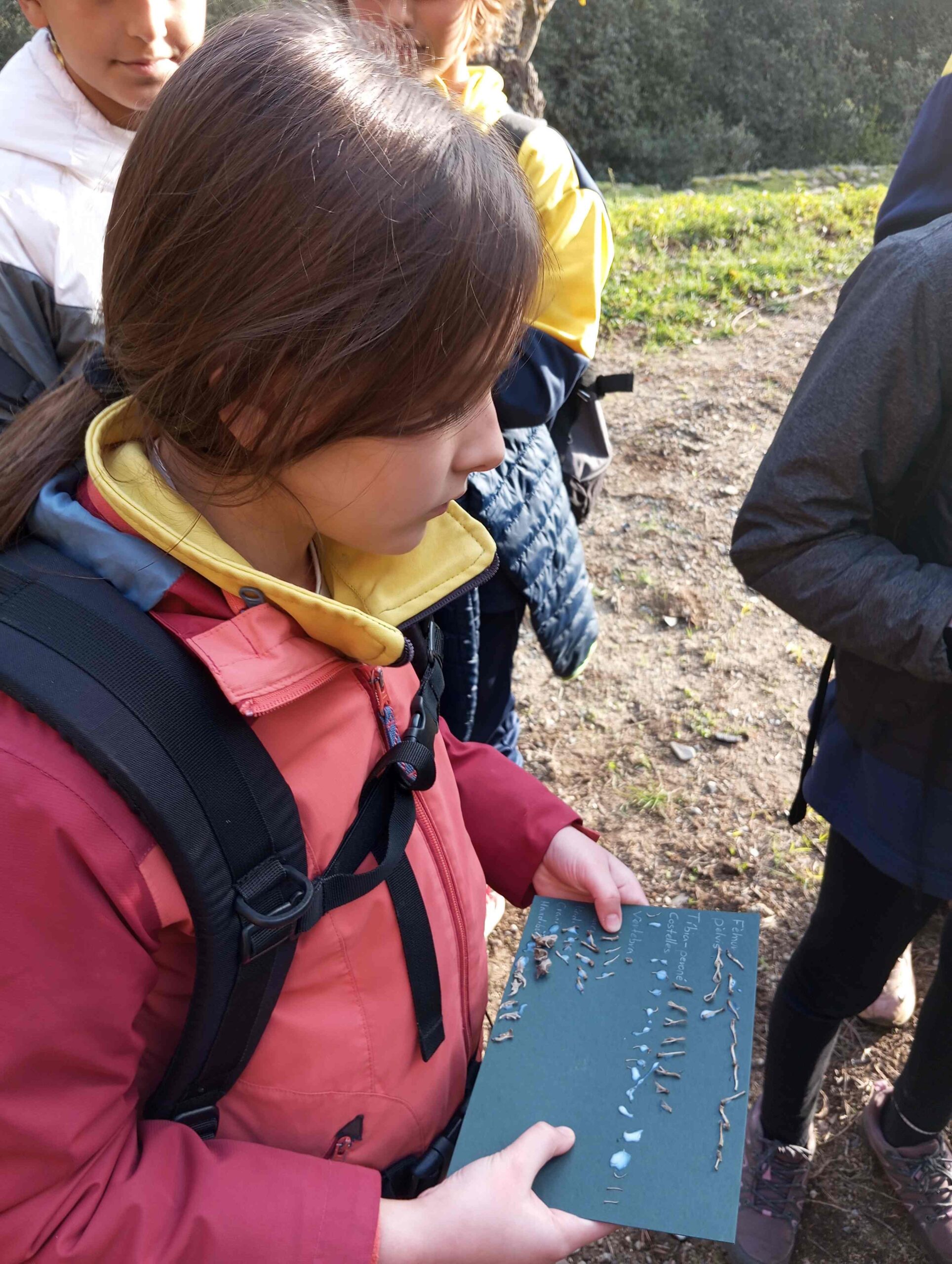 pnin bosc madur titllar (14) (Copy)