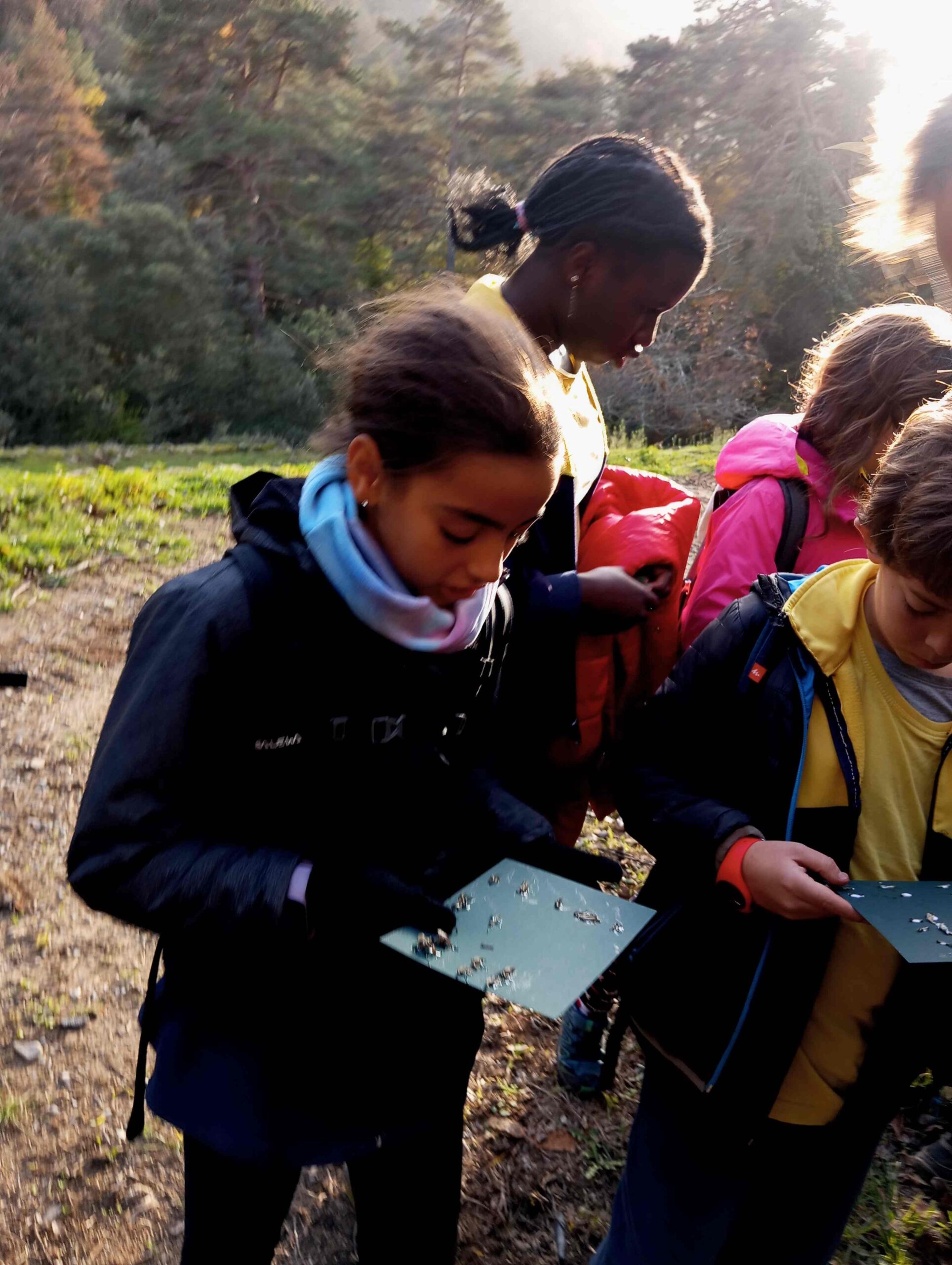 pnin bosc madur titllar (15) (Copy)