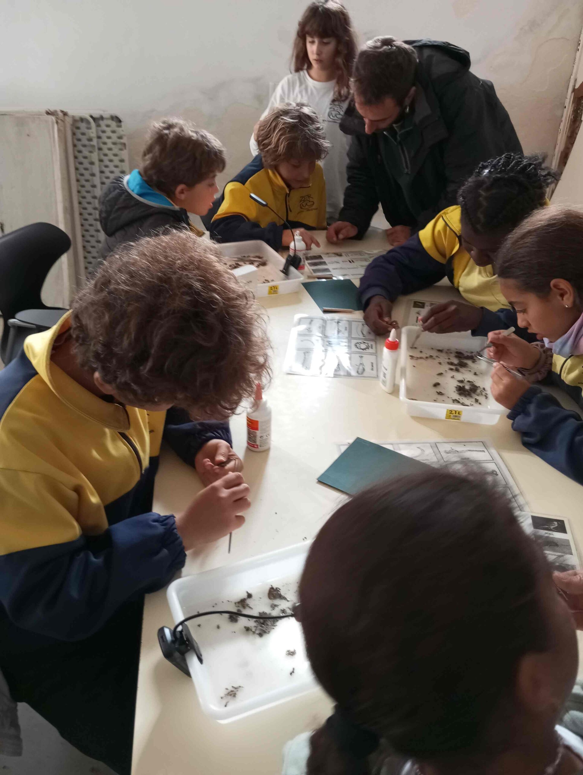 pnin bosc madur titllar (24) (Copy)