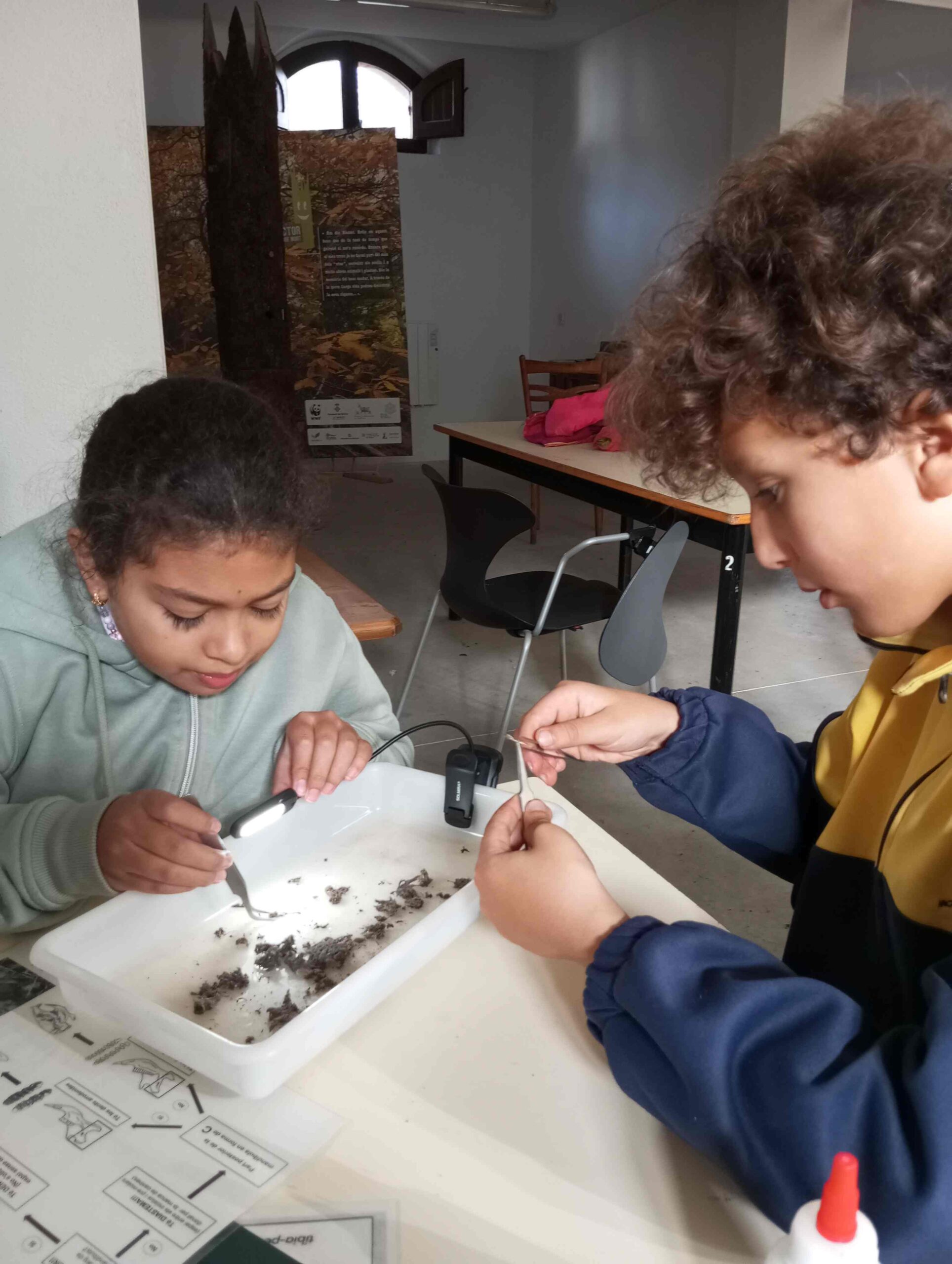 pnin bosc madur titllar (26) (Copy)