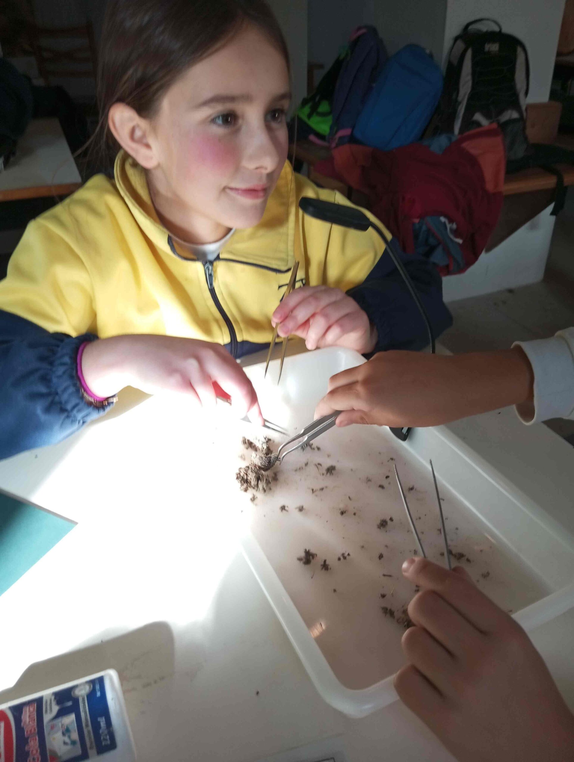 pnin bosc madur titllar (27) (Copy)