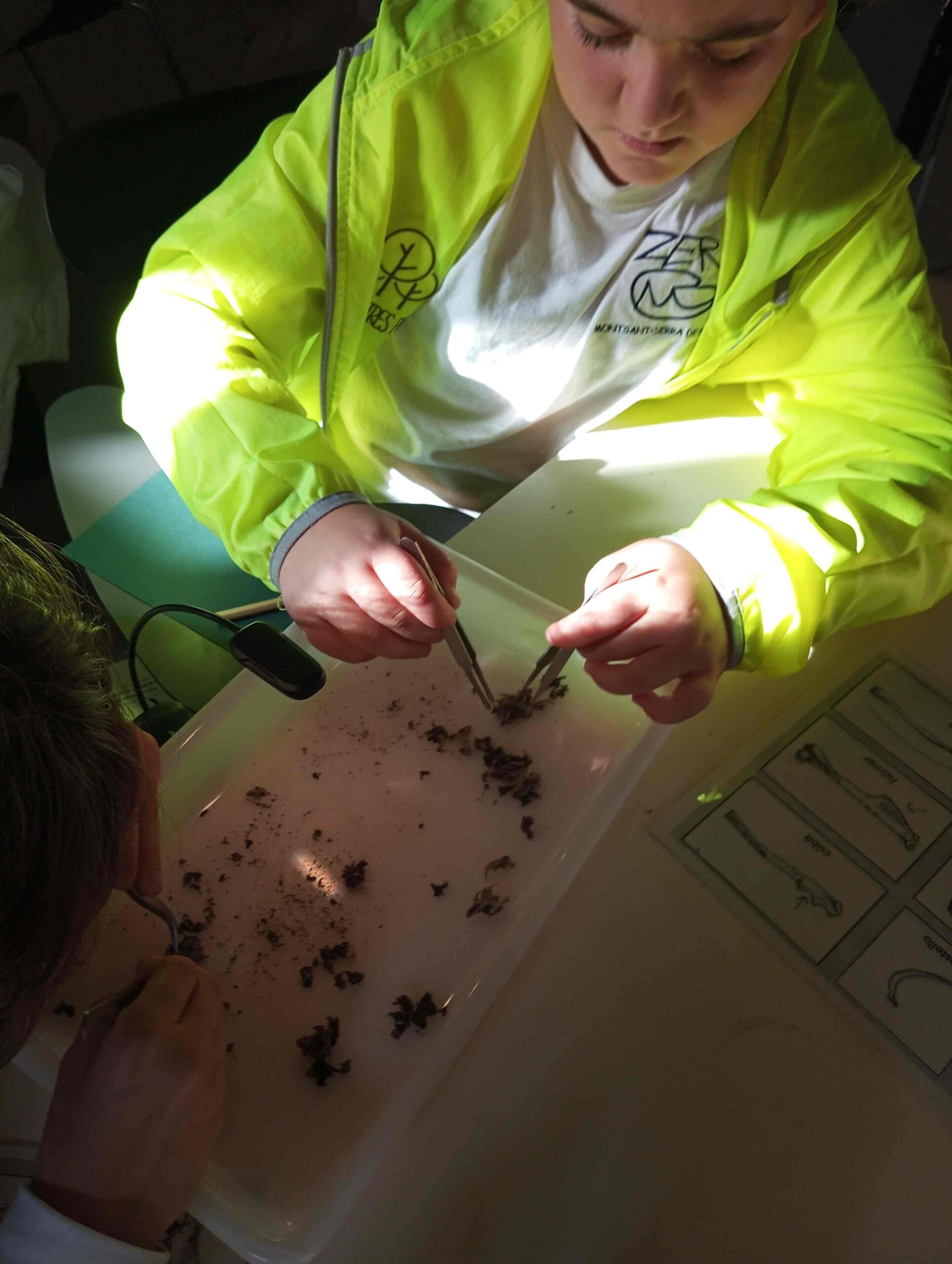 pnin bosc madur titllar (28) (Copy)