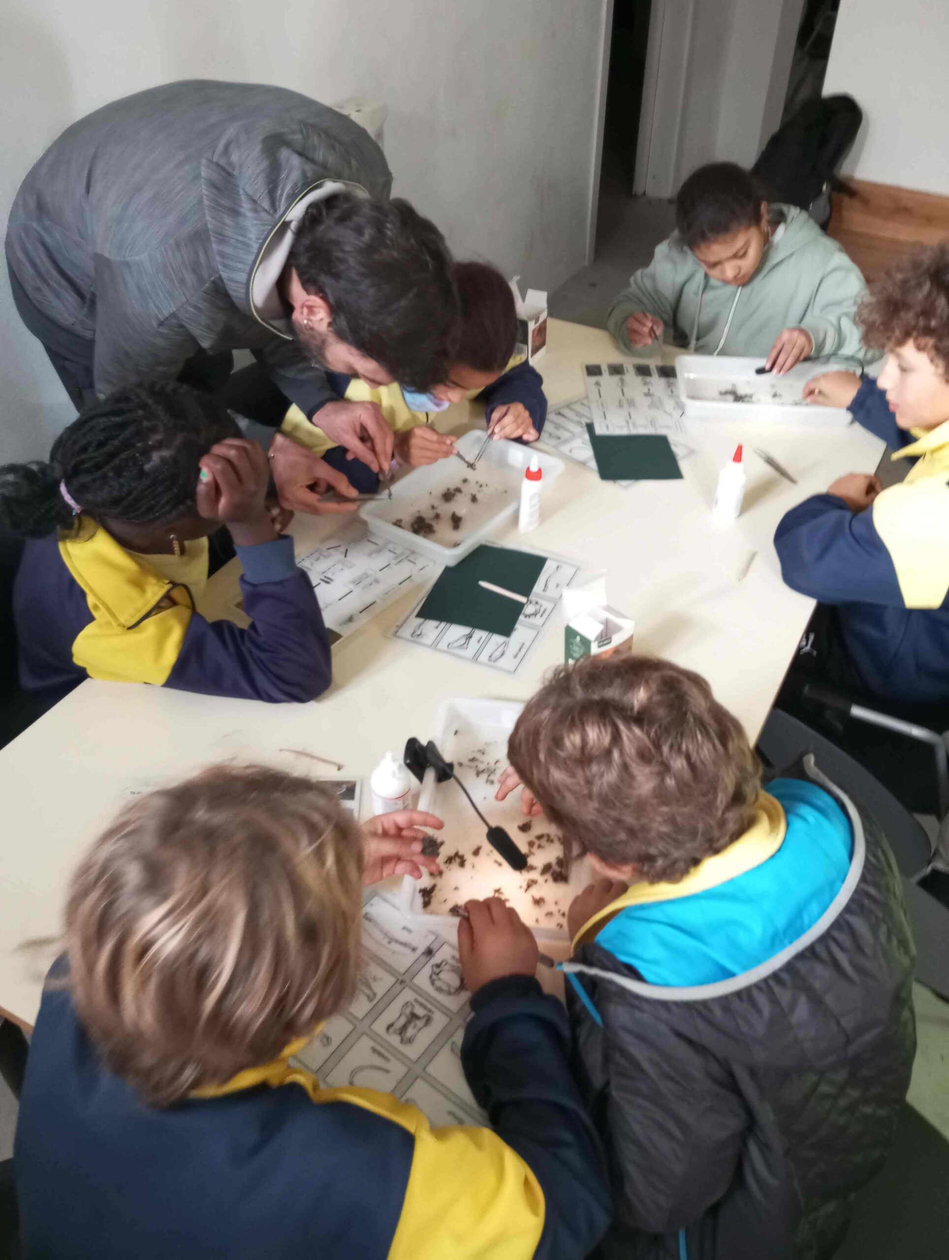 pnin bosc madur titllar (29) (Copy)