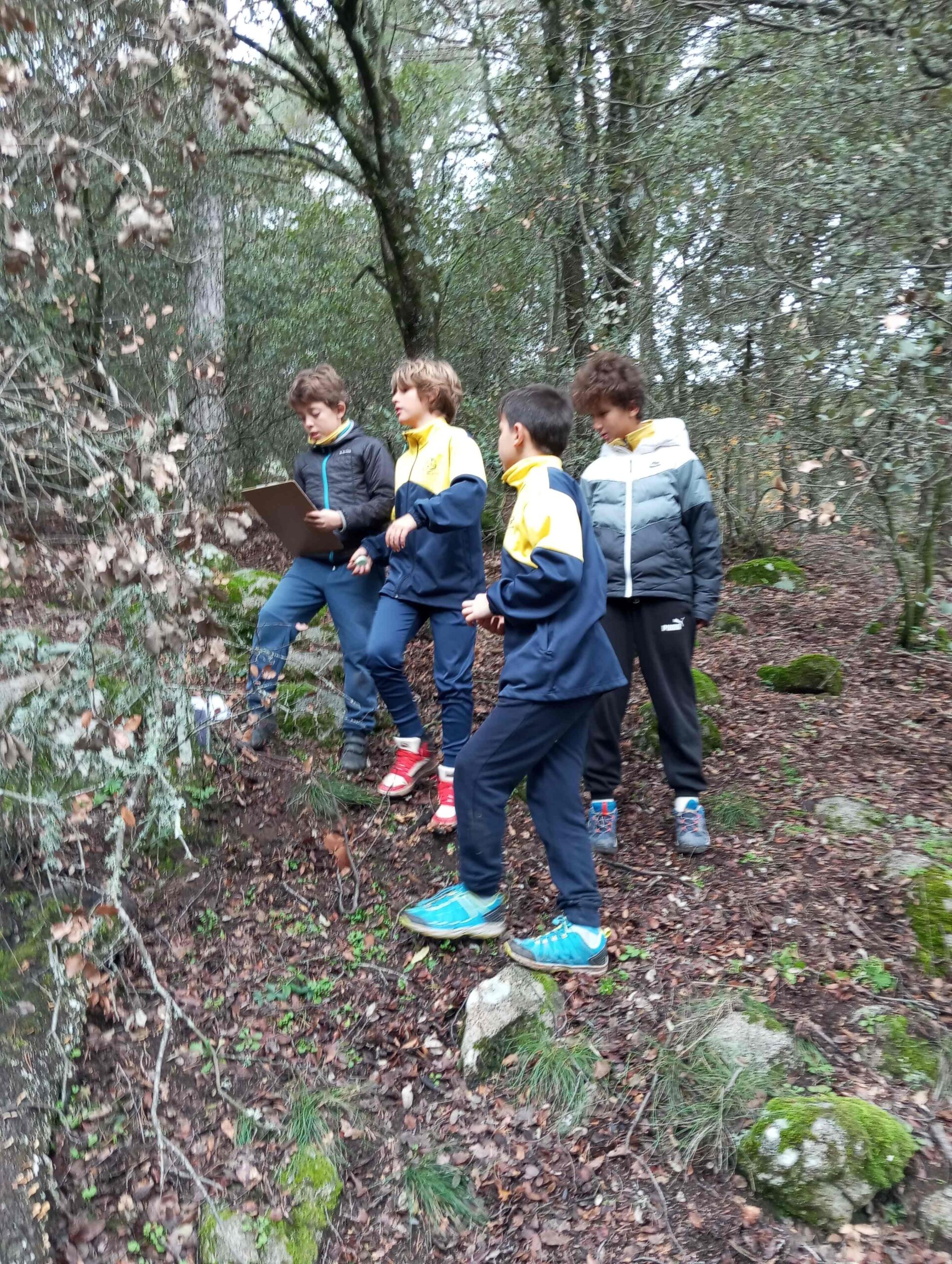 pnin bosc madur titllar (3) (Copy)