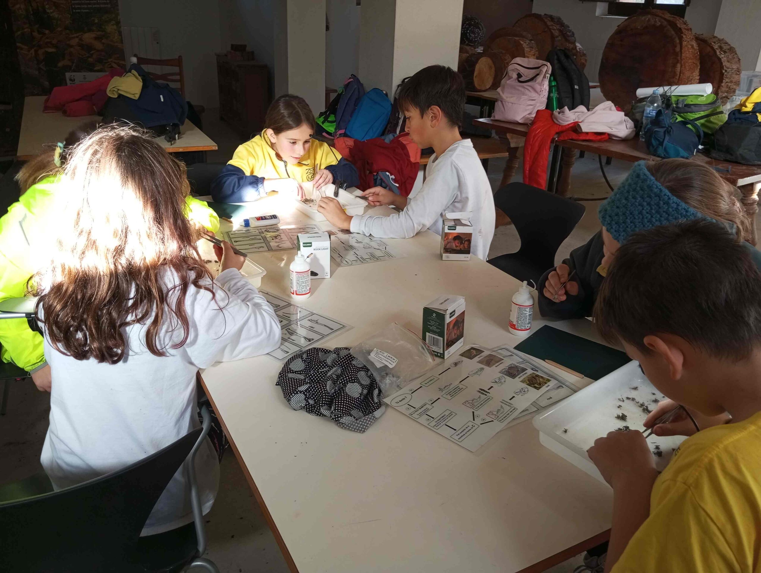 pnin bosc madur titllar (30) (Copy)