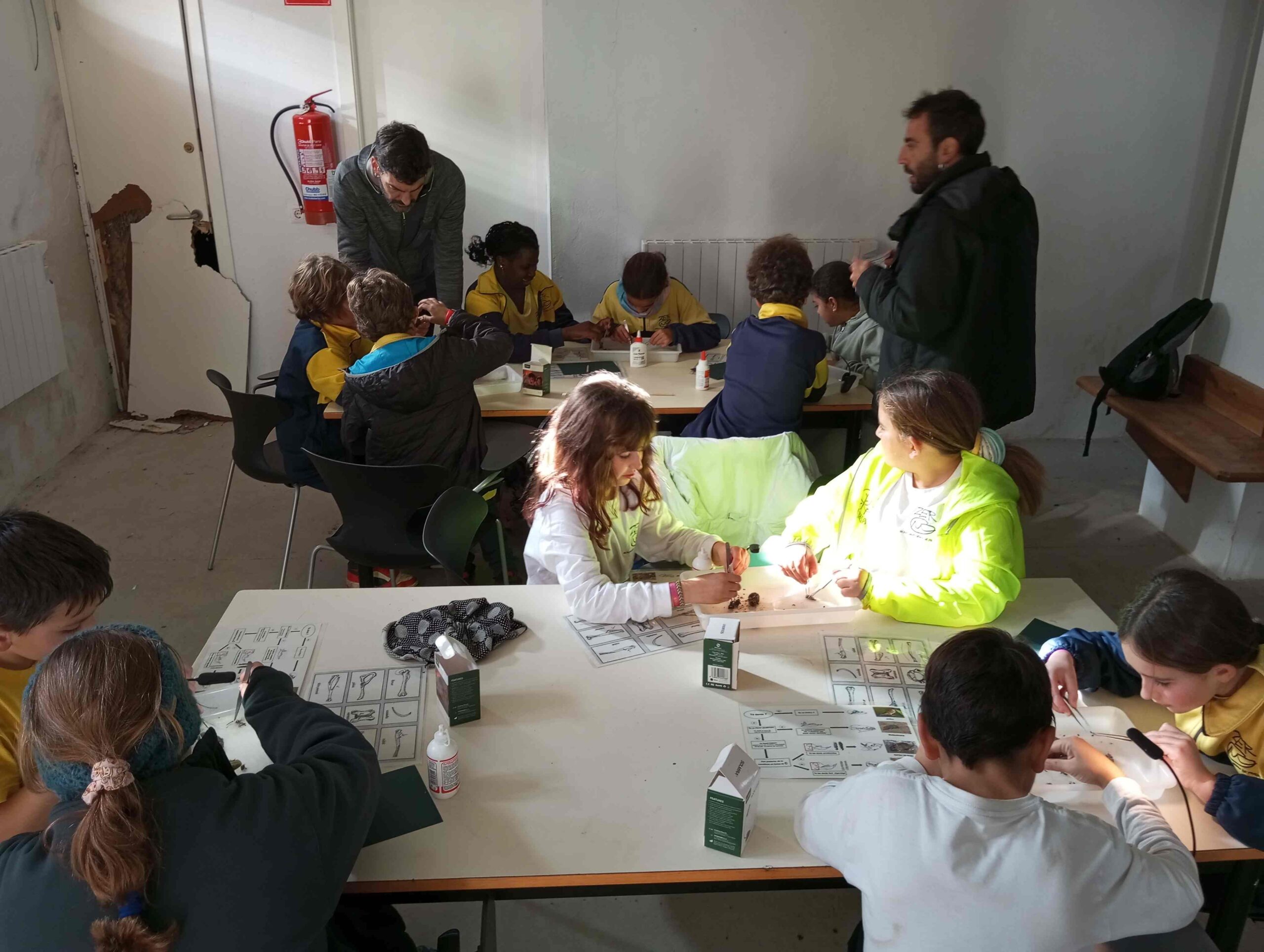 pnin bosc madur titllar (31) (Copy)