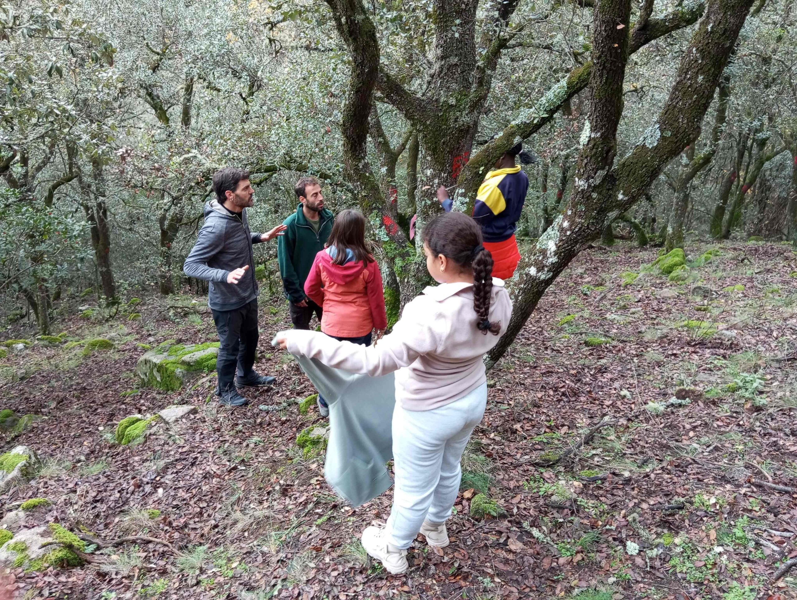 pnin bosc madur titllar (4) (Copy)