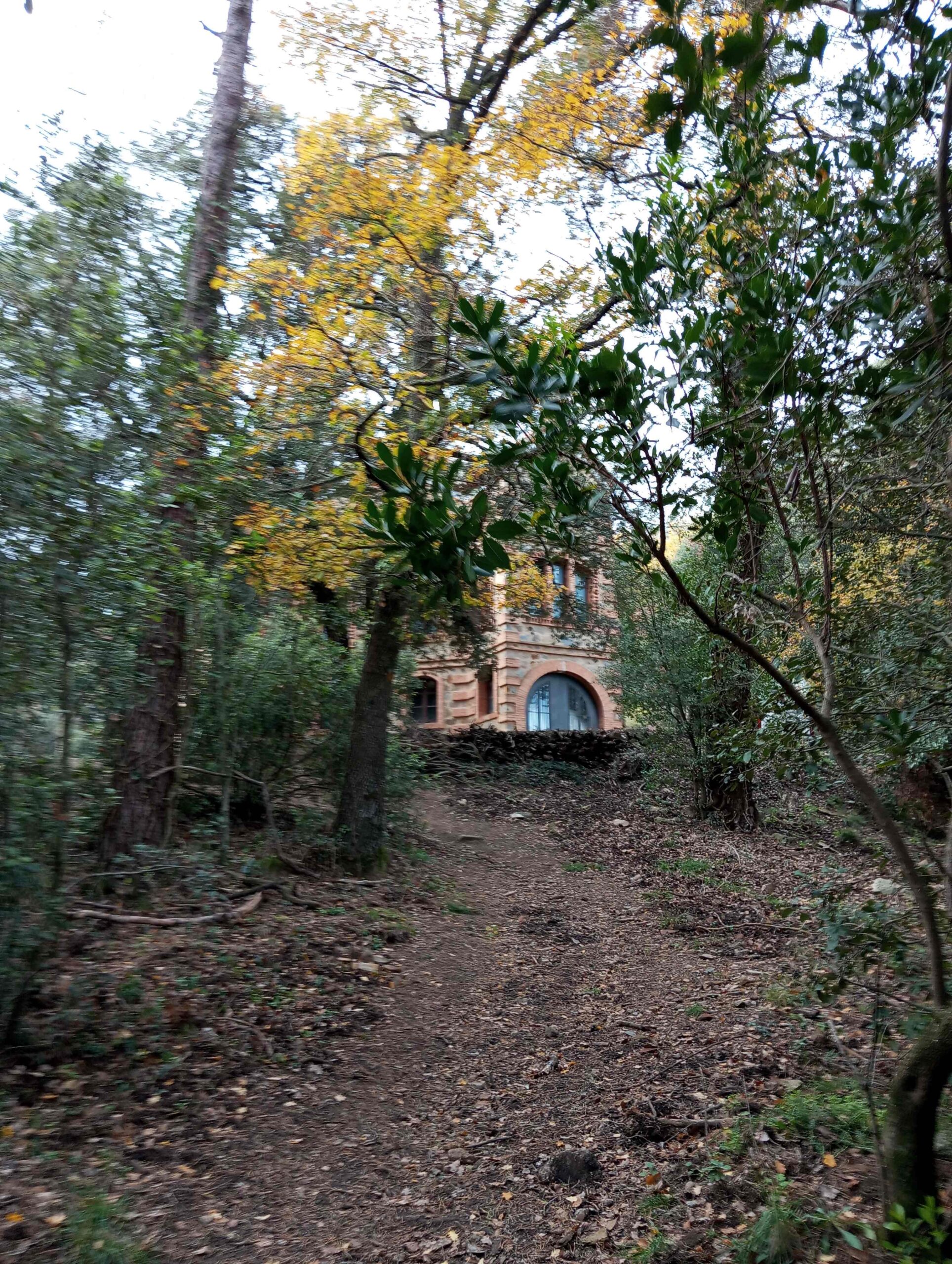 pnin bosc madur titllar (45) (Copy)