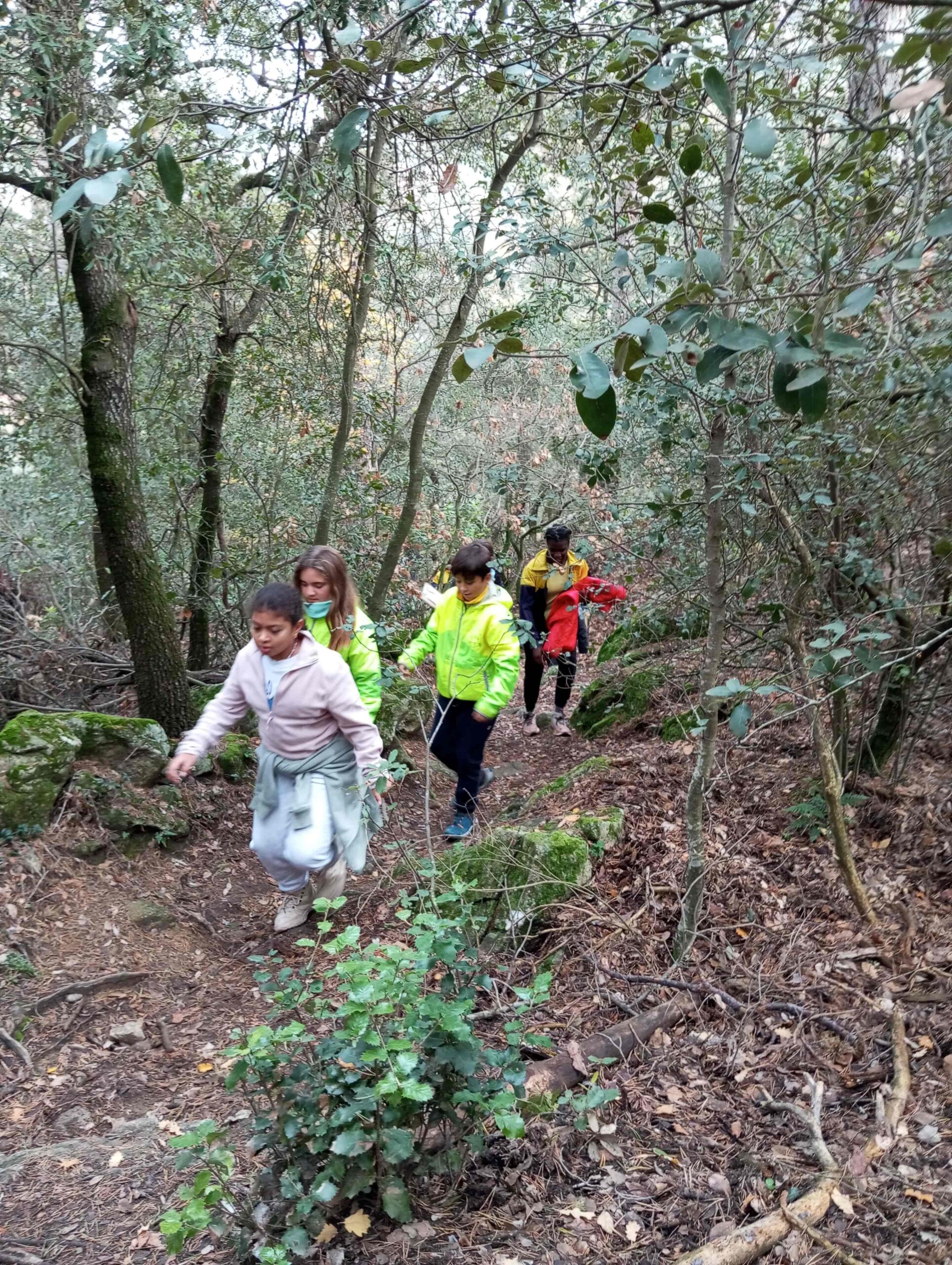 pnin bosc madur titllar (46) (Copy)