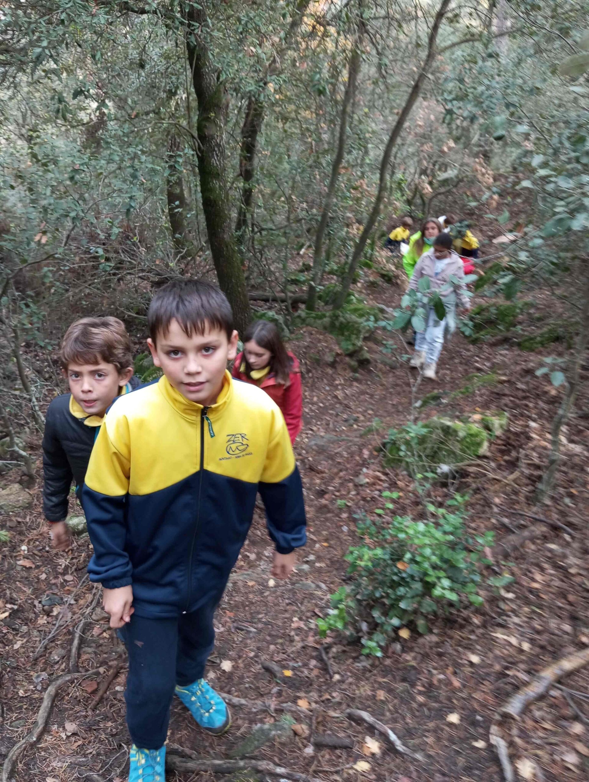 pnin bosc madur titllar (47) (Copy)