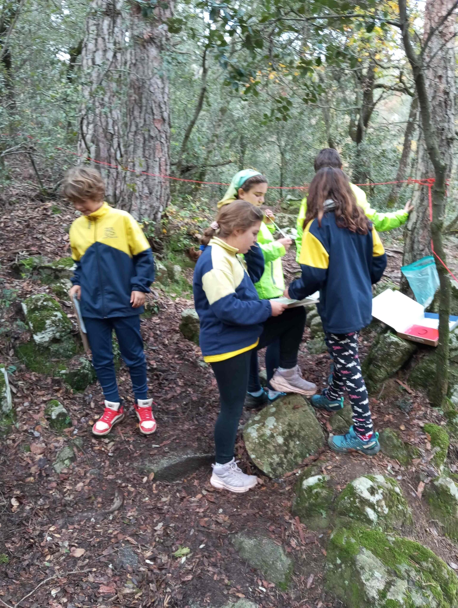 pnin bosc madur titllar (48) (Copy)