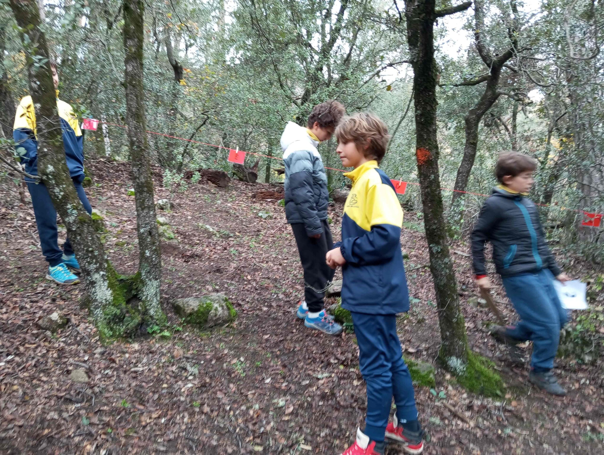 pnin bosc madur titllar (5) (Copy)