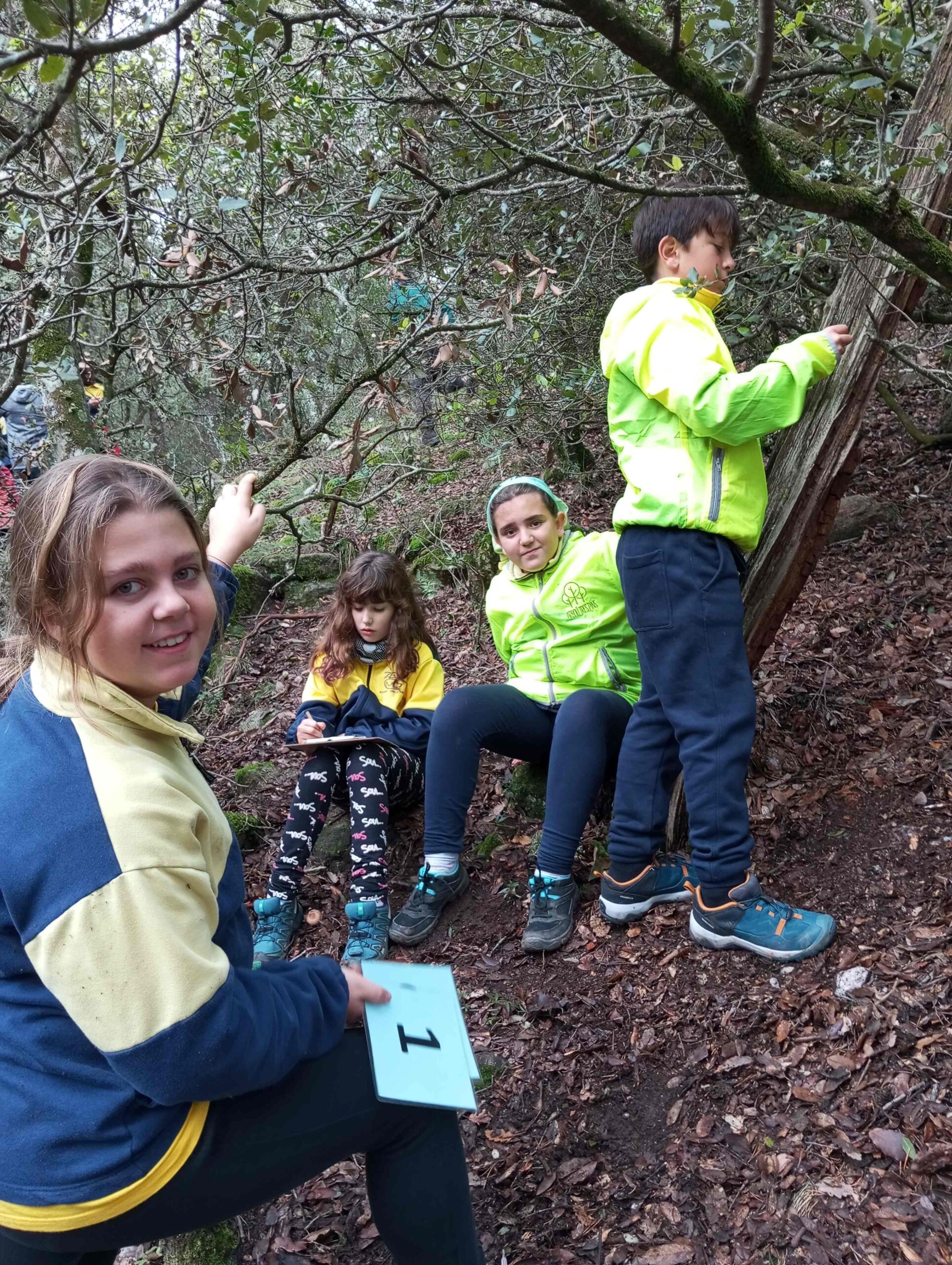 pnin bosc madur titllar (6) (Copy)