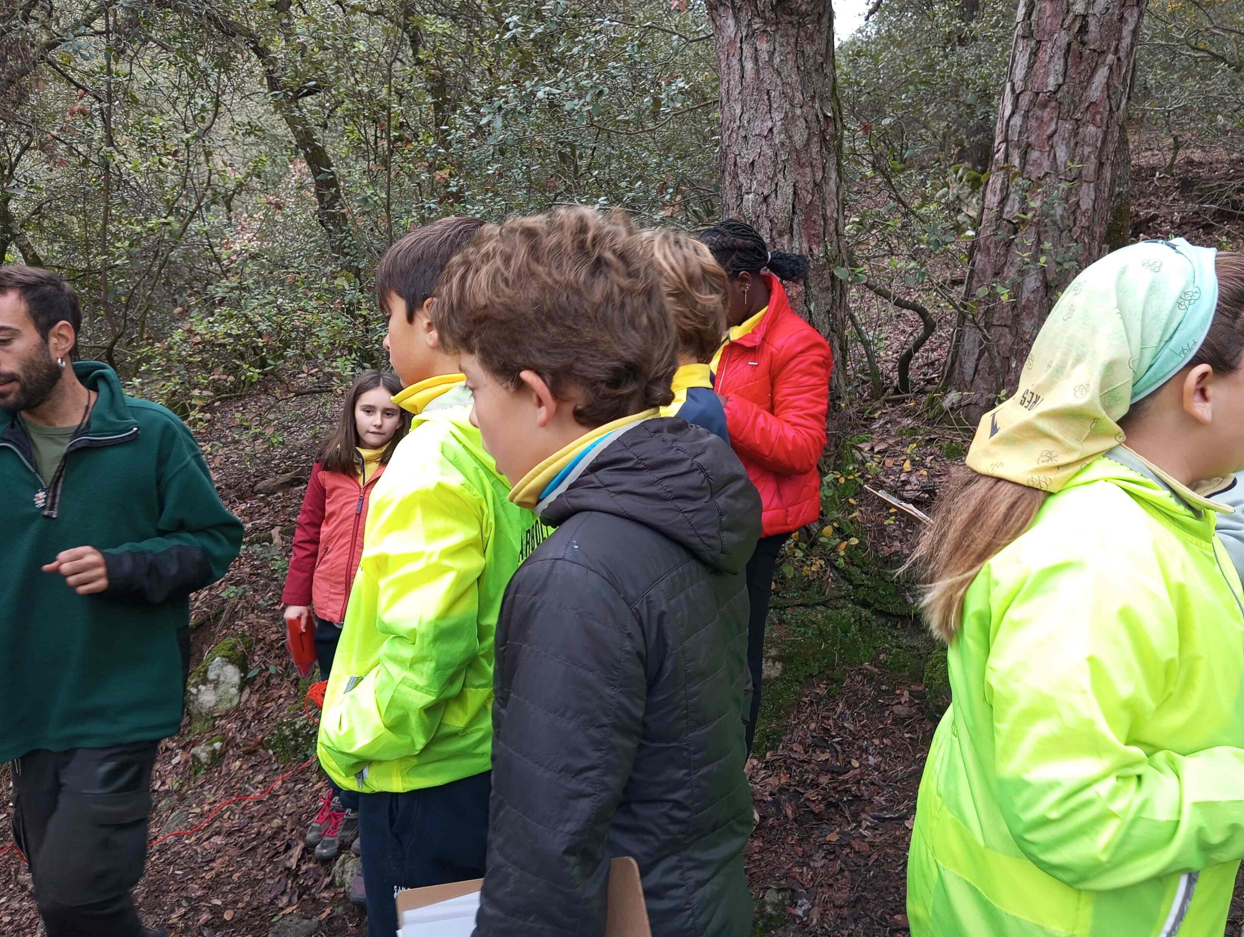 pnin bosc madur titllar (7) (Copy)