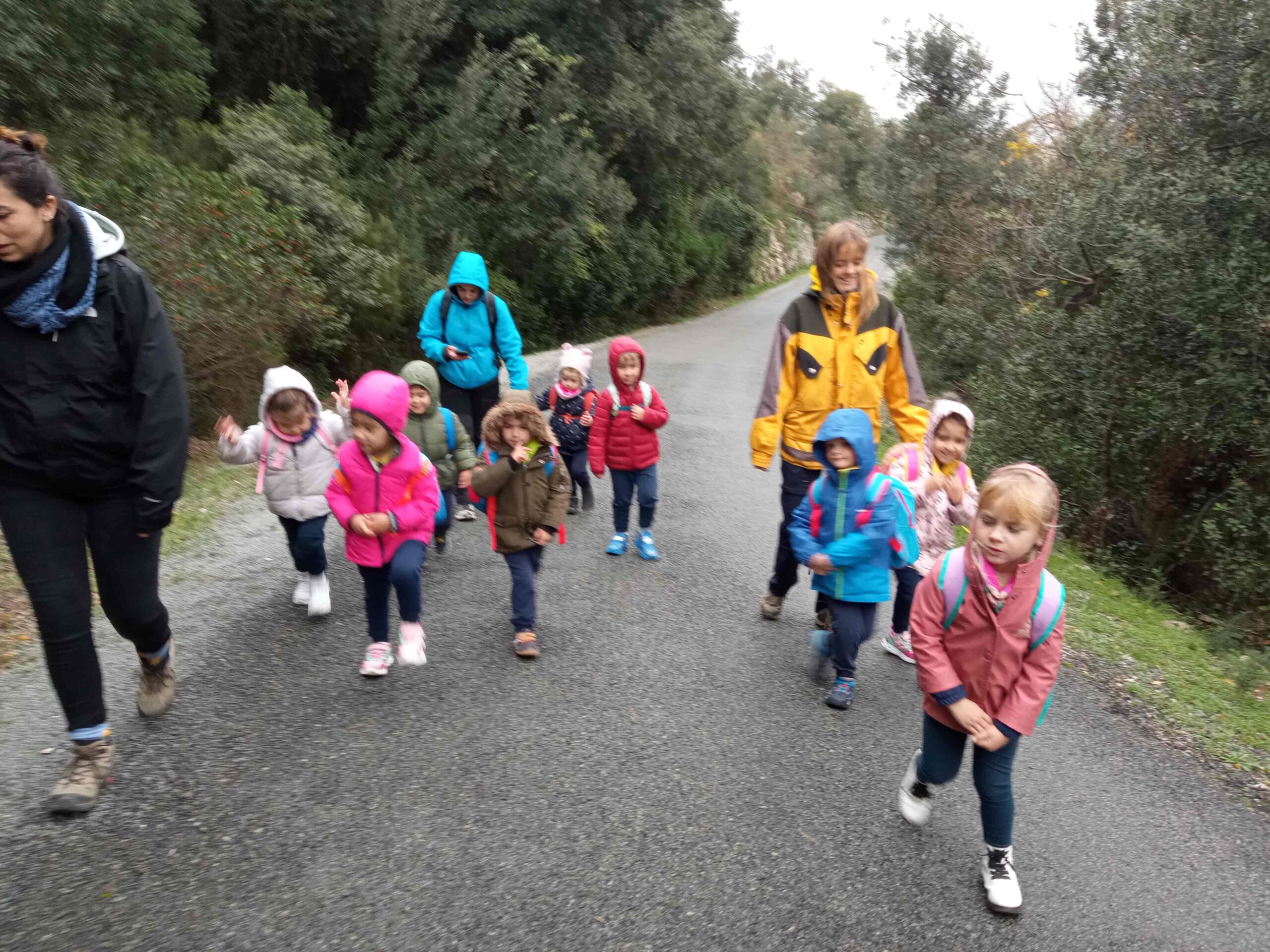 pnin castellfollit roca abella (12) (Copy)