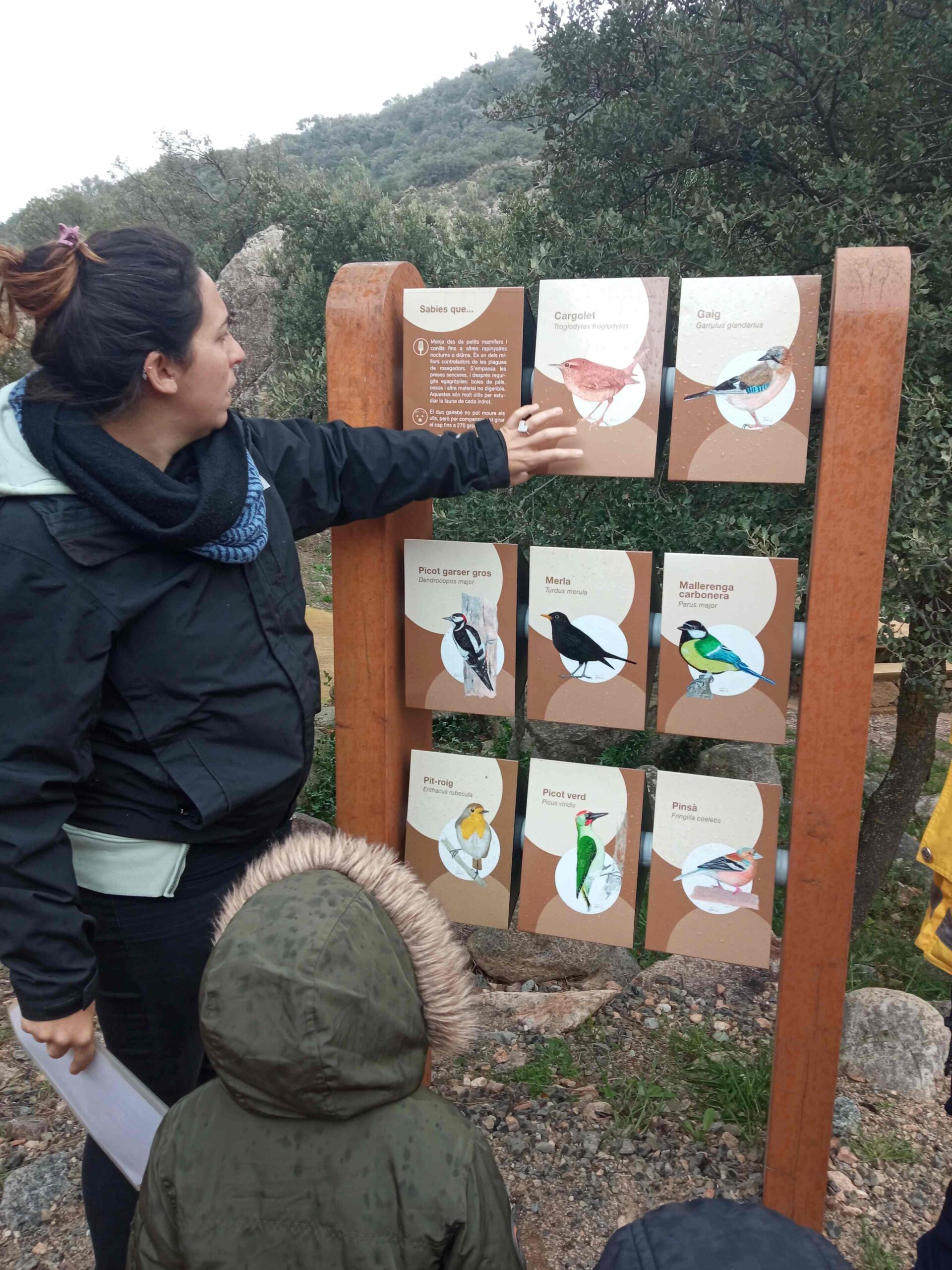 pnin castellfollit roca abella (16) (Copy)