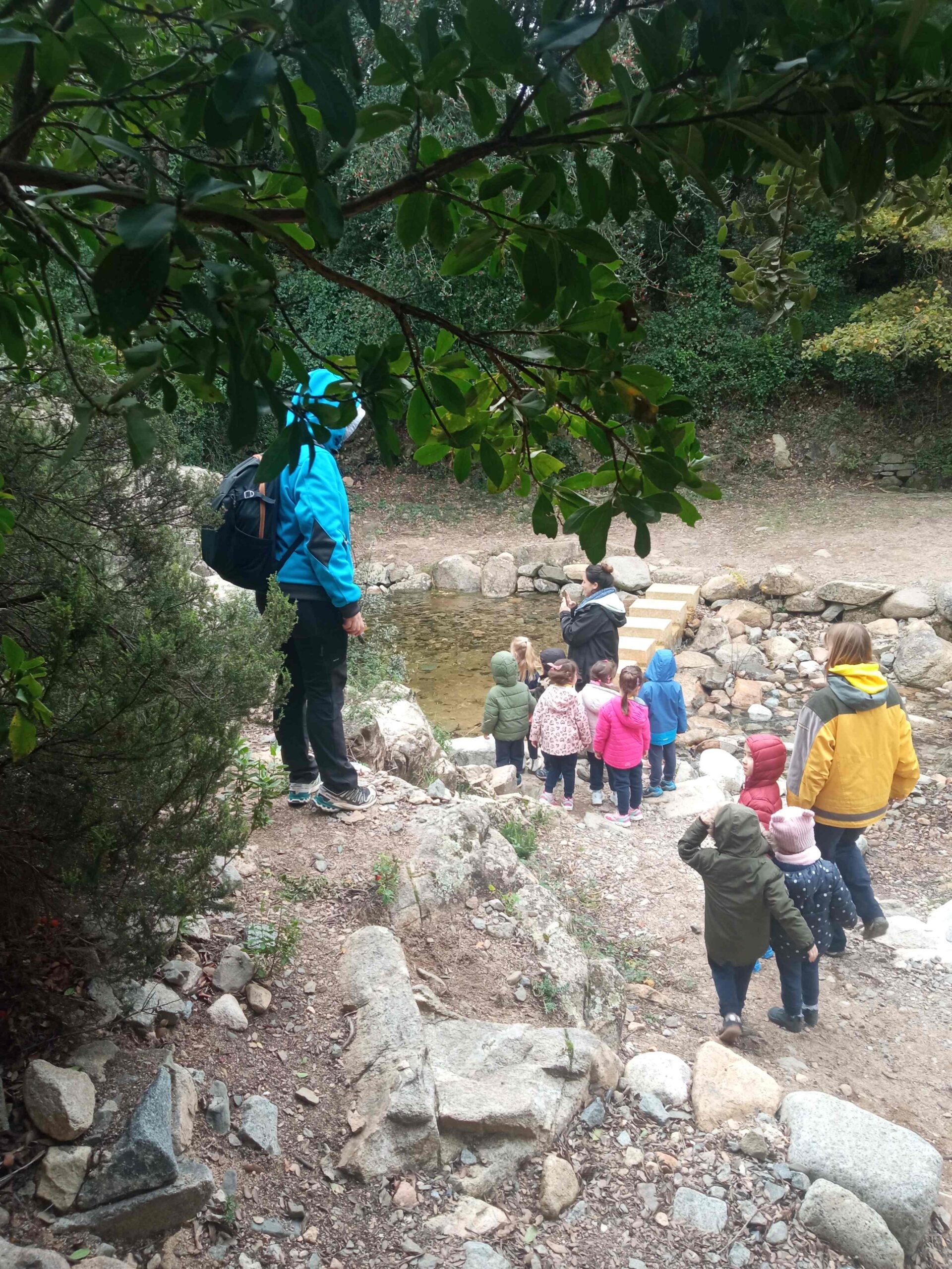 pnin castellfollit roca abella (2) (Copy)