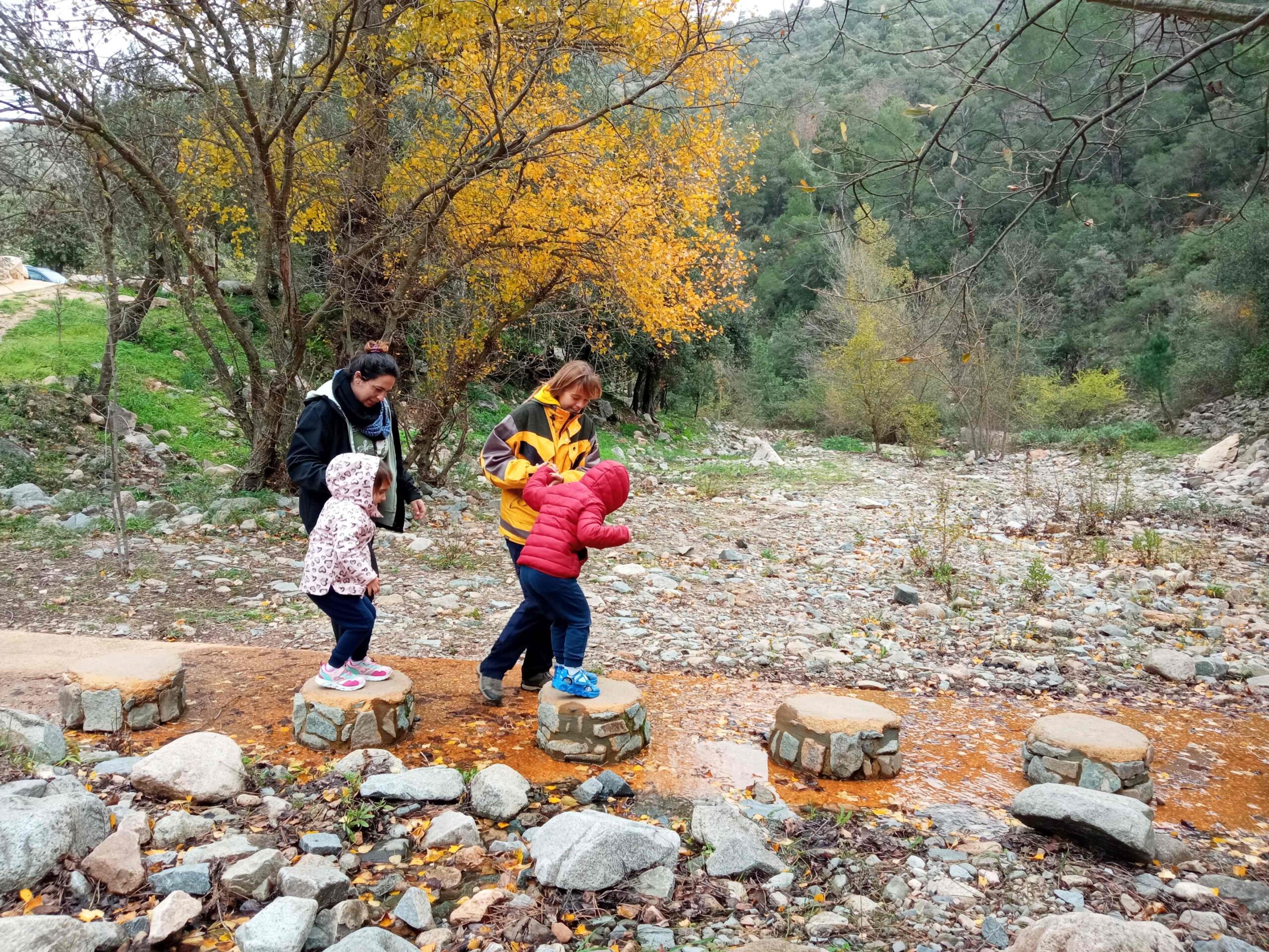 pnin castellfollit roca abella (3) (Copy)