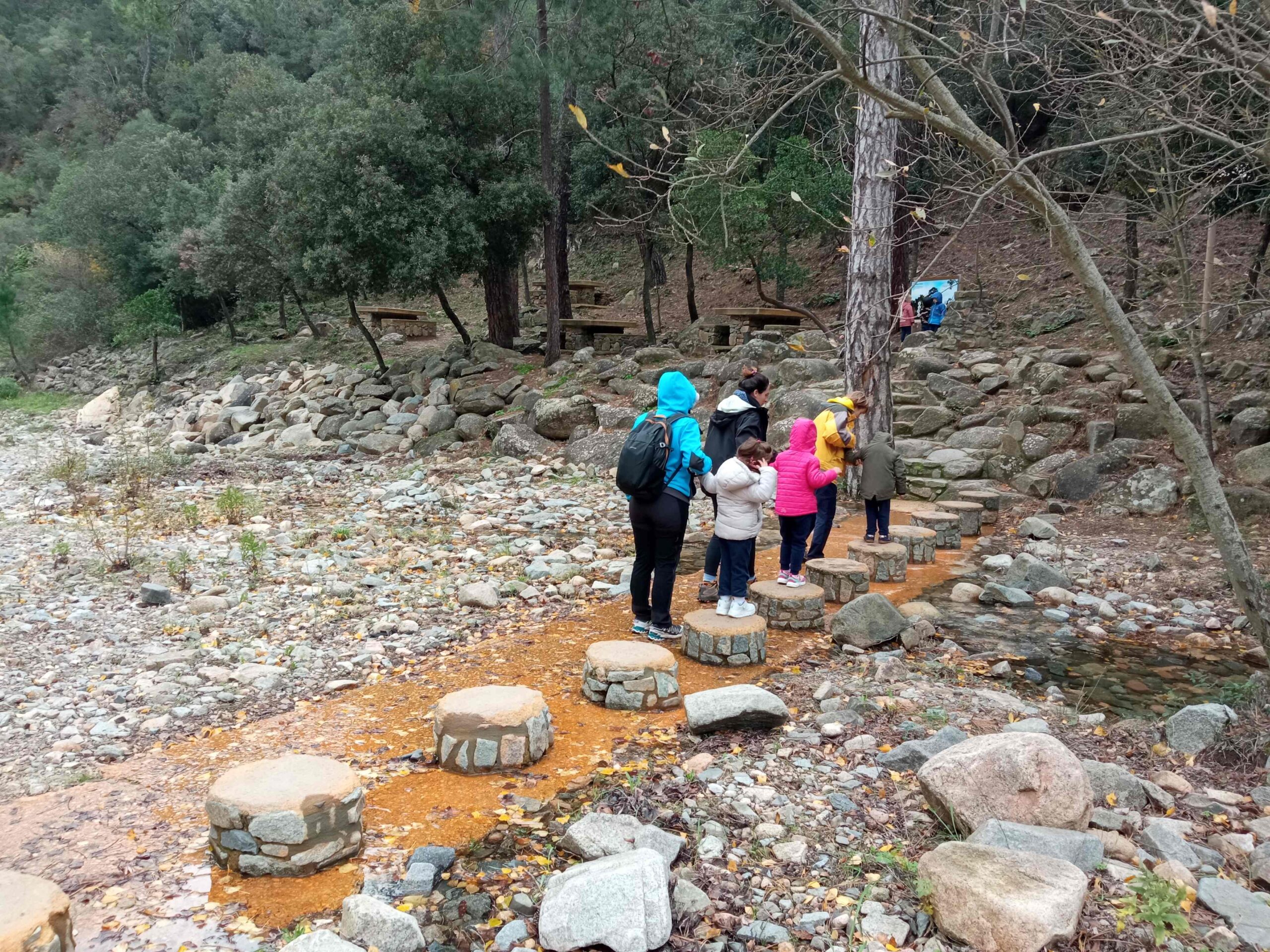 pnin castellfollit roca abella (5) (Copy)