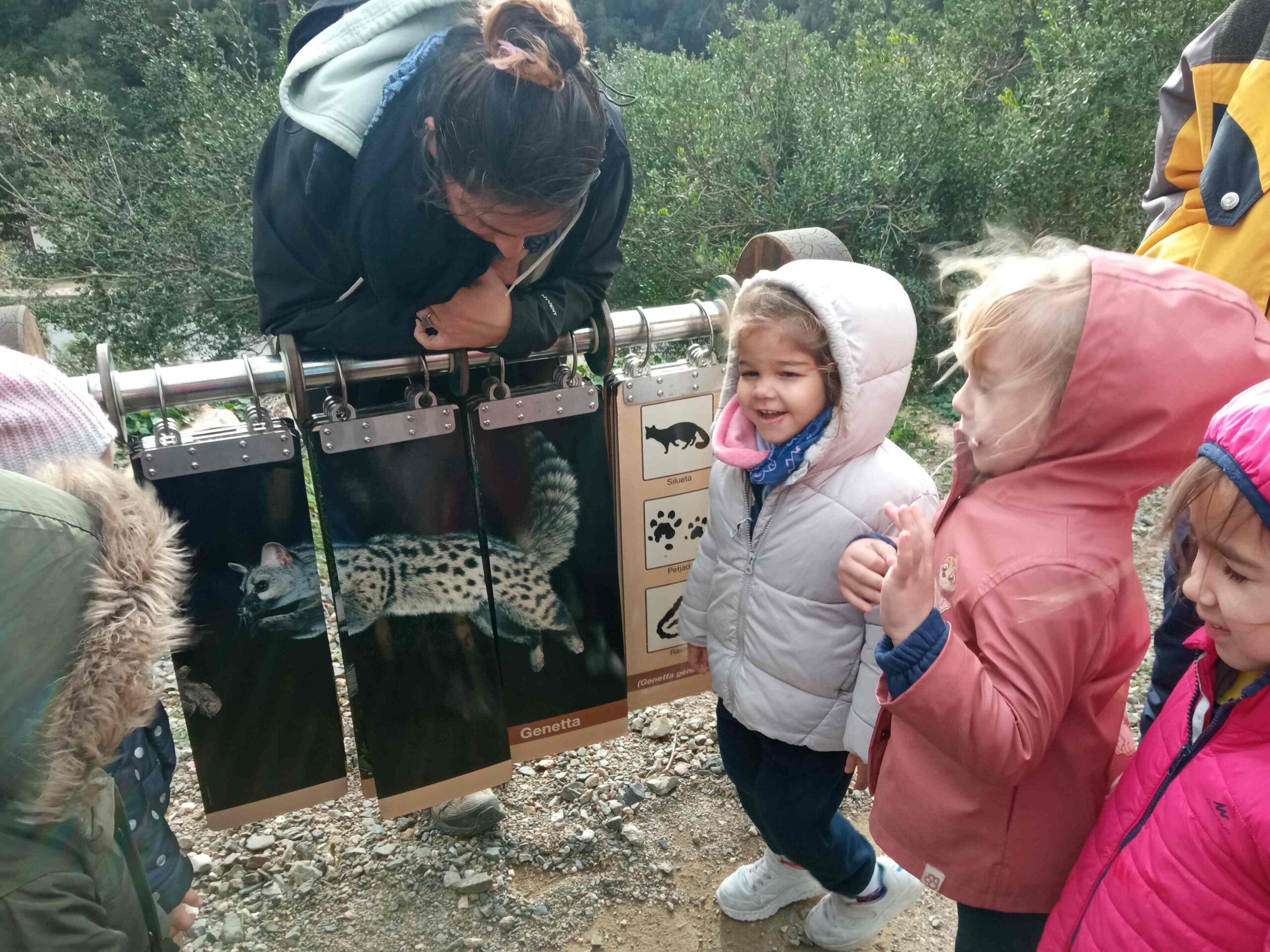 pnin castellfollit roca abella (7) (Copy)