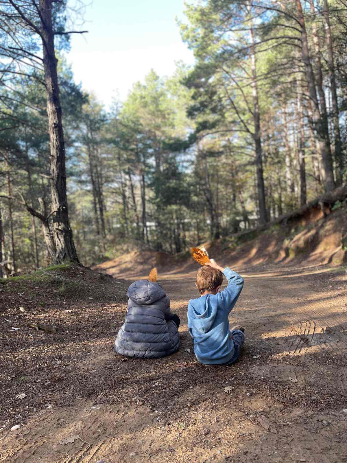 sortida bosc ei ci (1) (Copy)