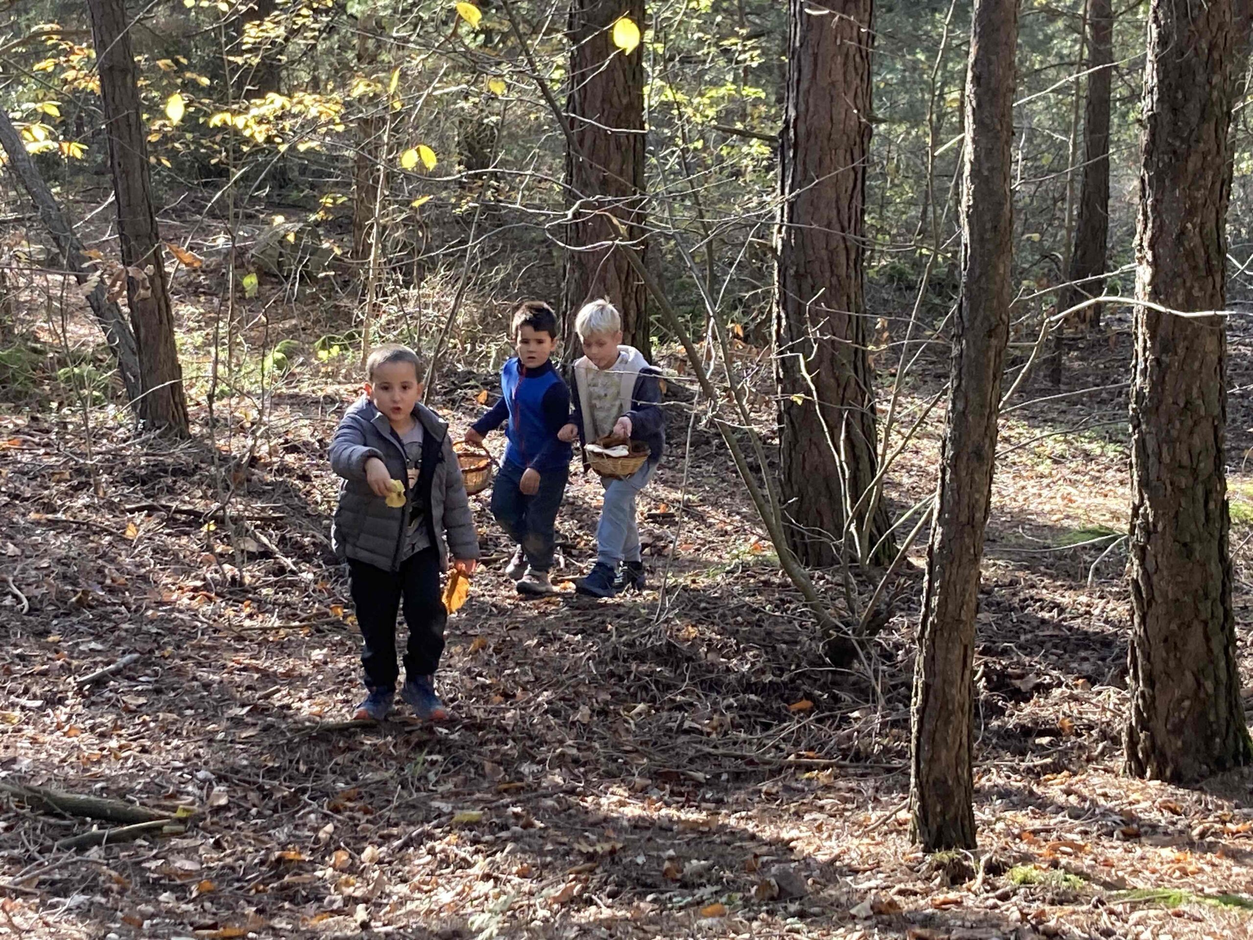 sortida bosc ei ci (11) (Copy)