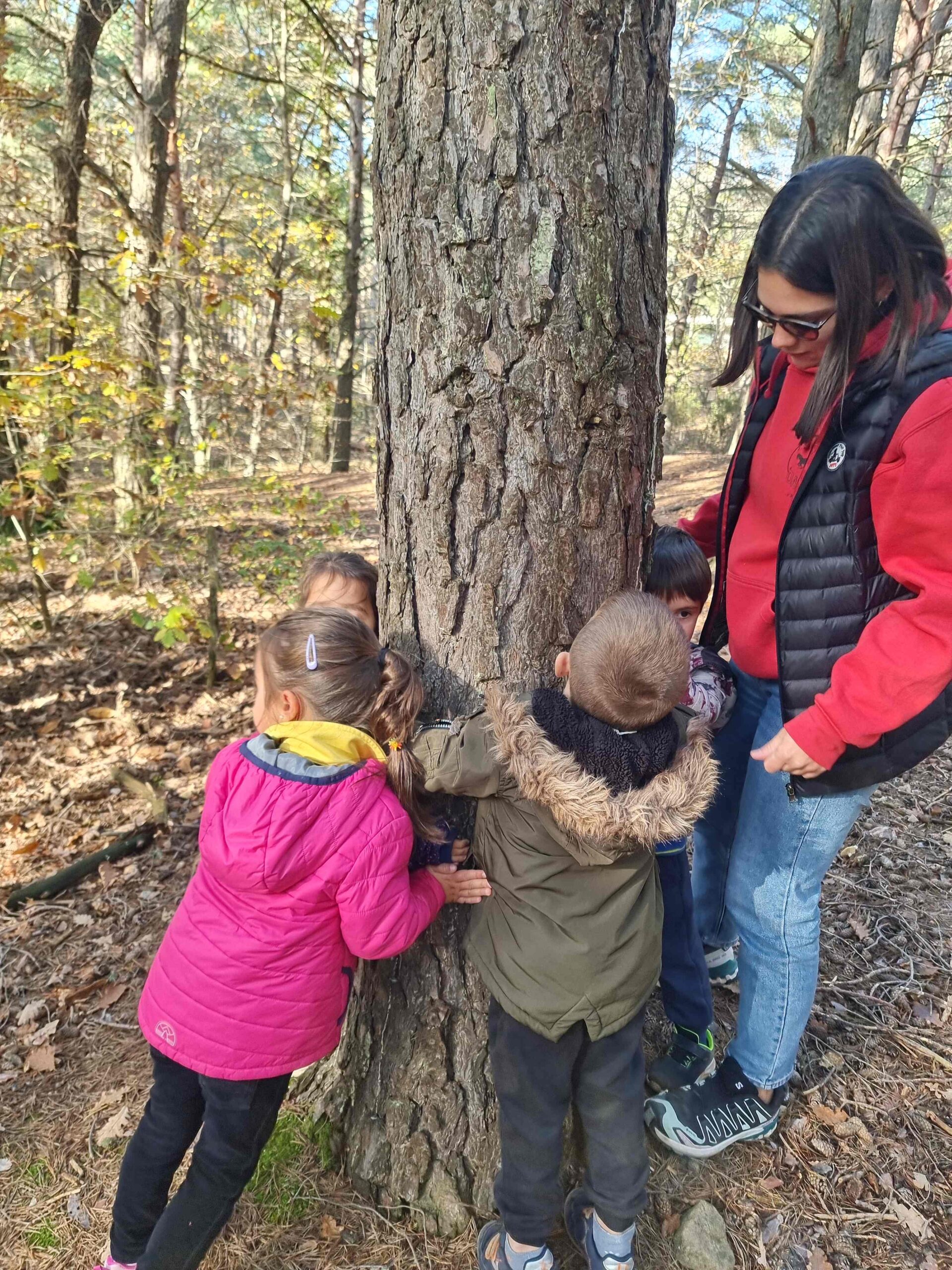 sortida bosc ei ci (15) (Copy)