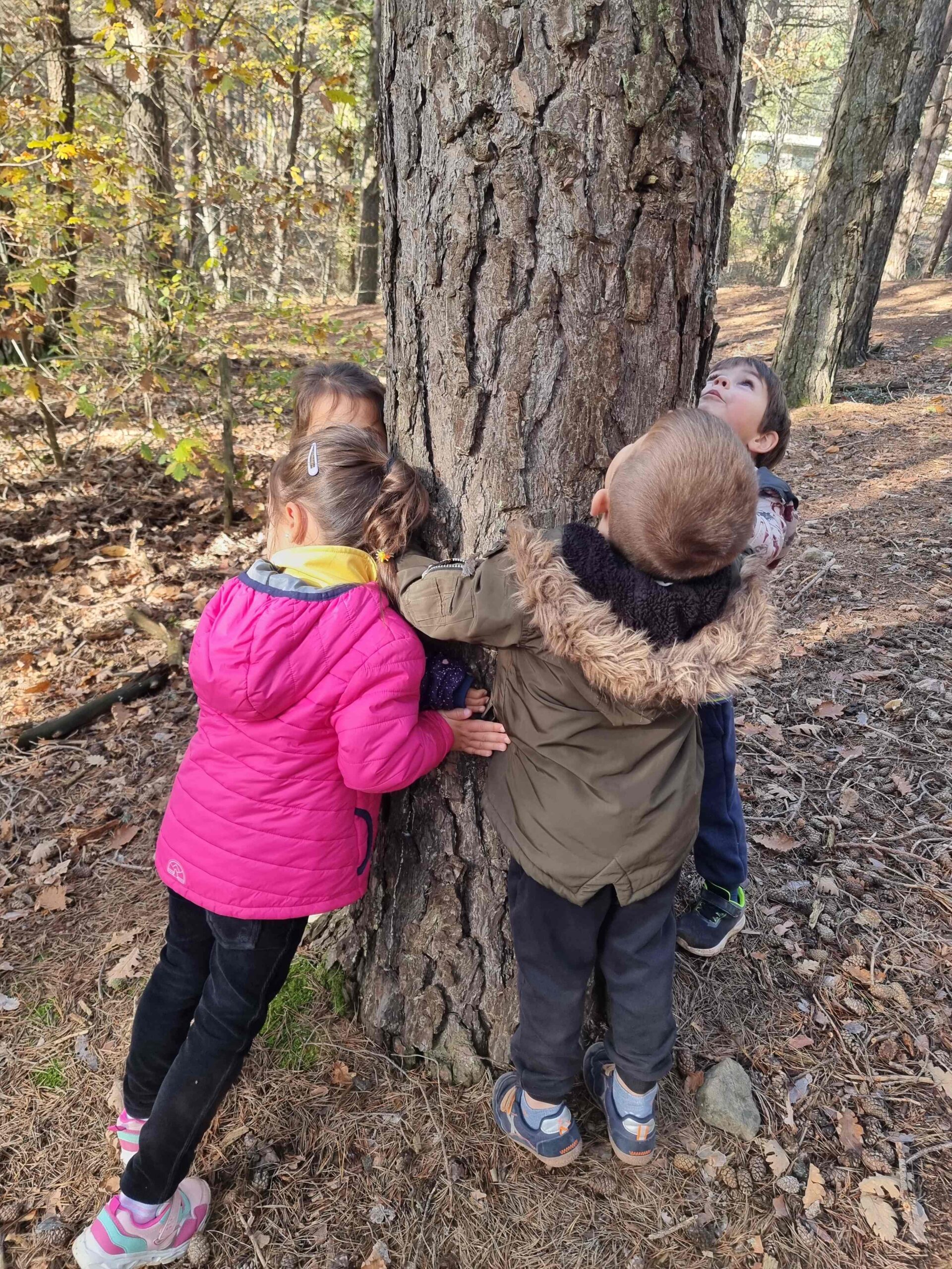 sortida bosc ei ci (16) (Copy)